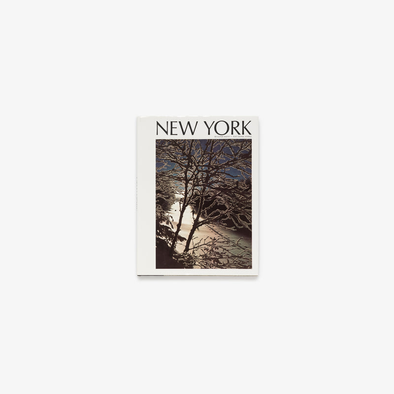 New York State by Clyde Smith Book
