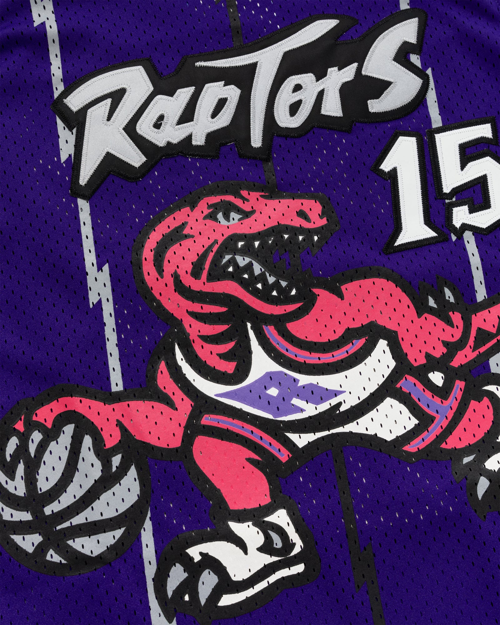 Retro Raptors Jersey 