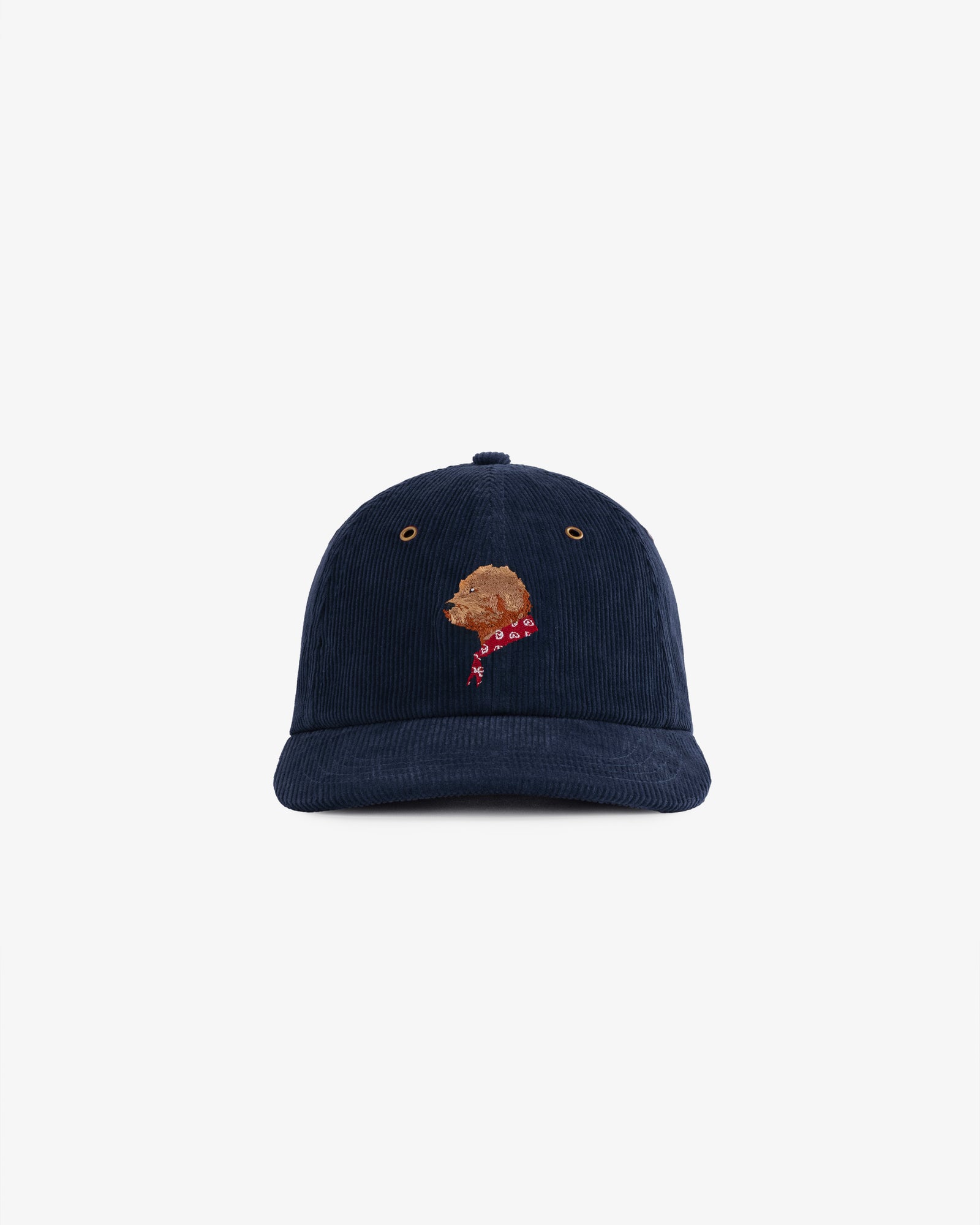 AIME LEON DORE HAT NAVY キャップ