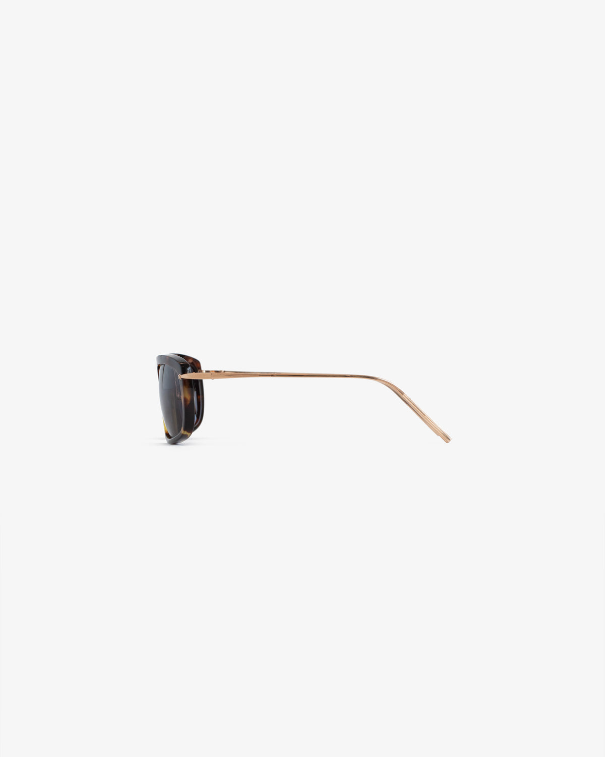 Side view of Ace Sunglasses with tortoiseshell frames and thin gold arms on a plain white background.