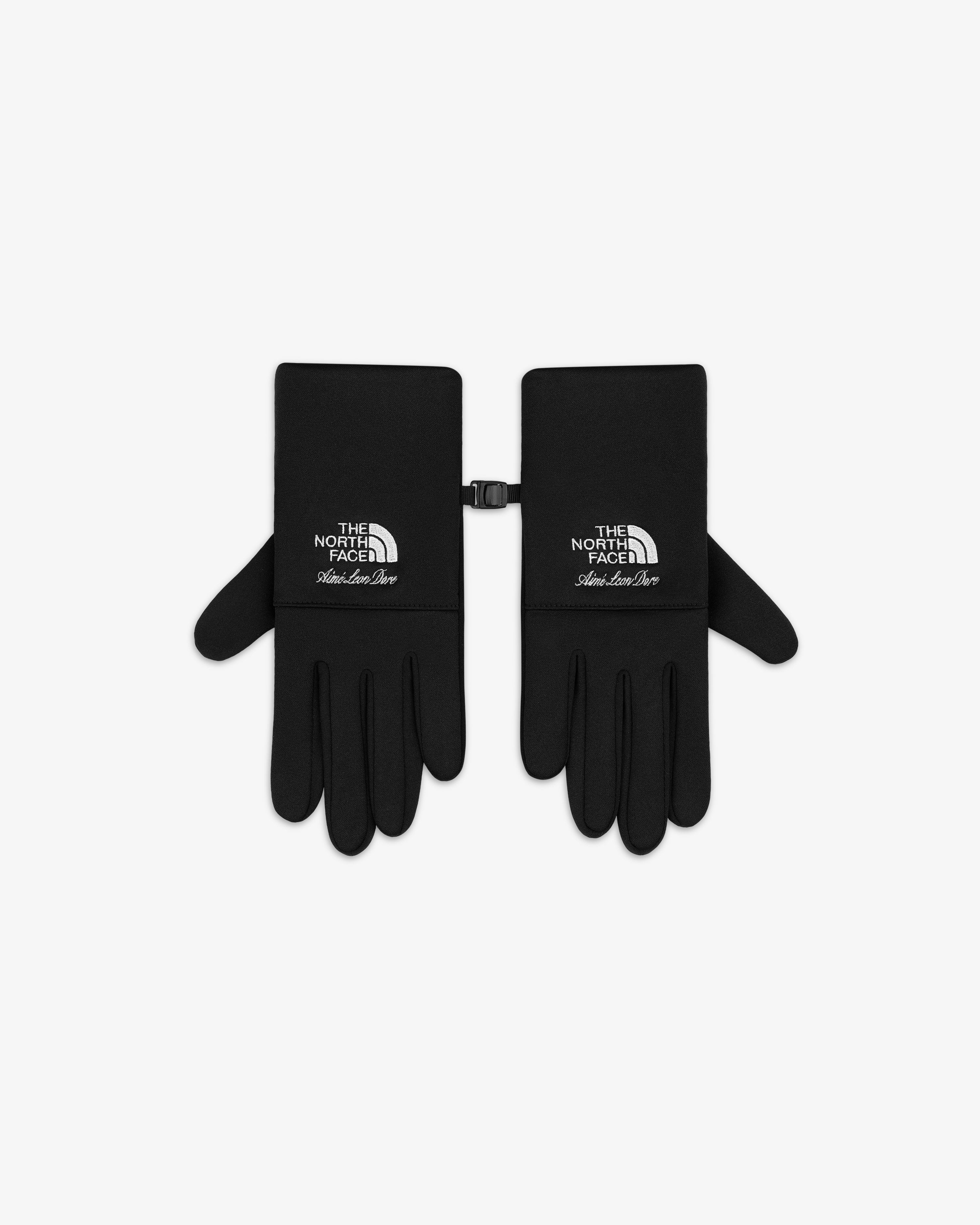 THE NORTH FACE Aimé Leon Dore 手袋 Mサイズ ALD / The North Face Etip™ Gloves – Aimé Leon Dore
