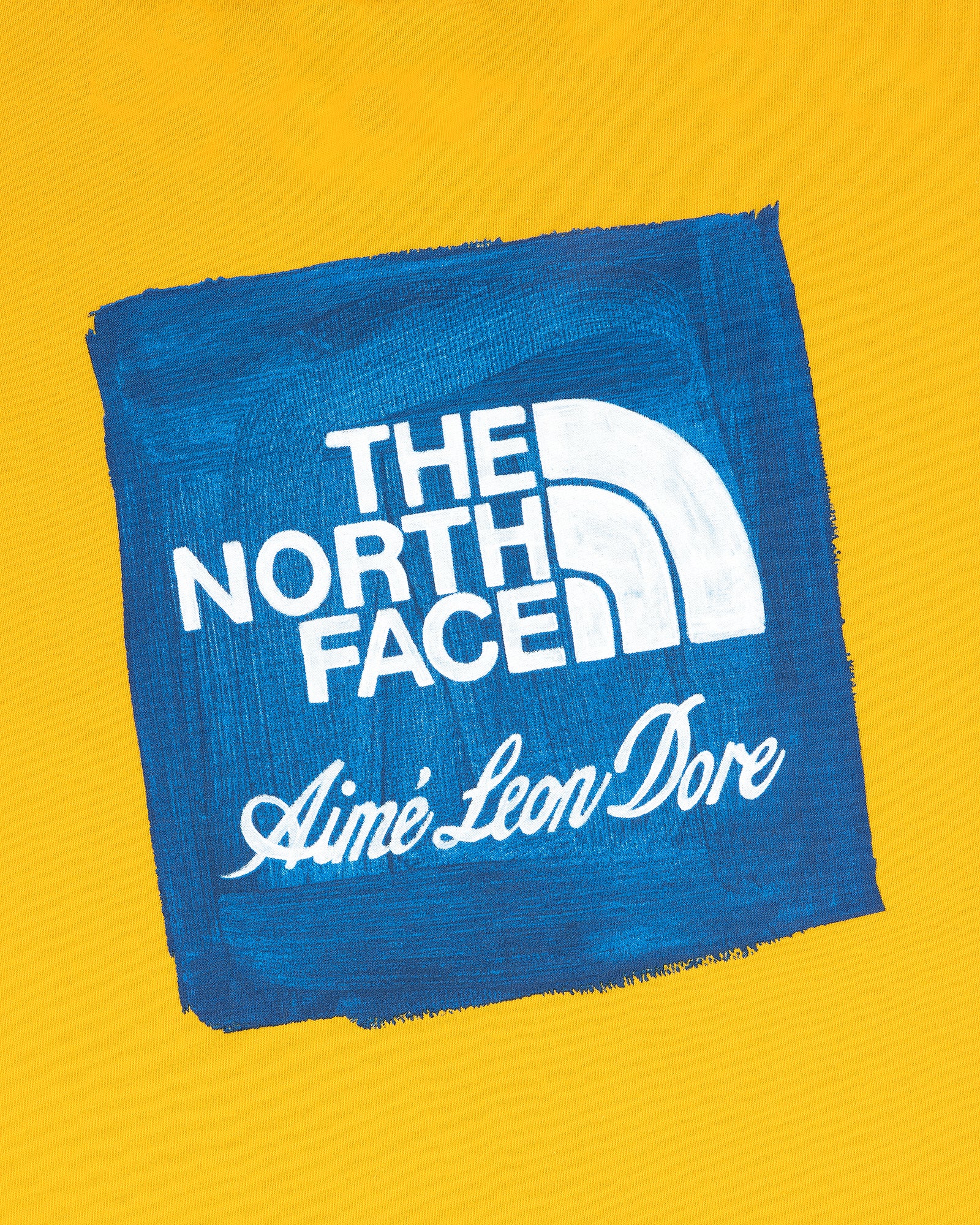 ALD / The North Face Logo Tee – Aimé Leon Dore