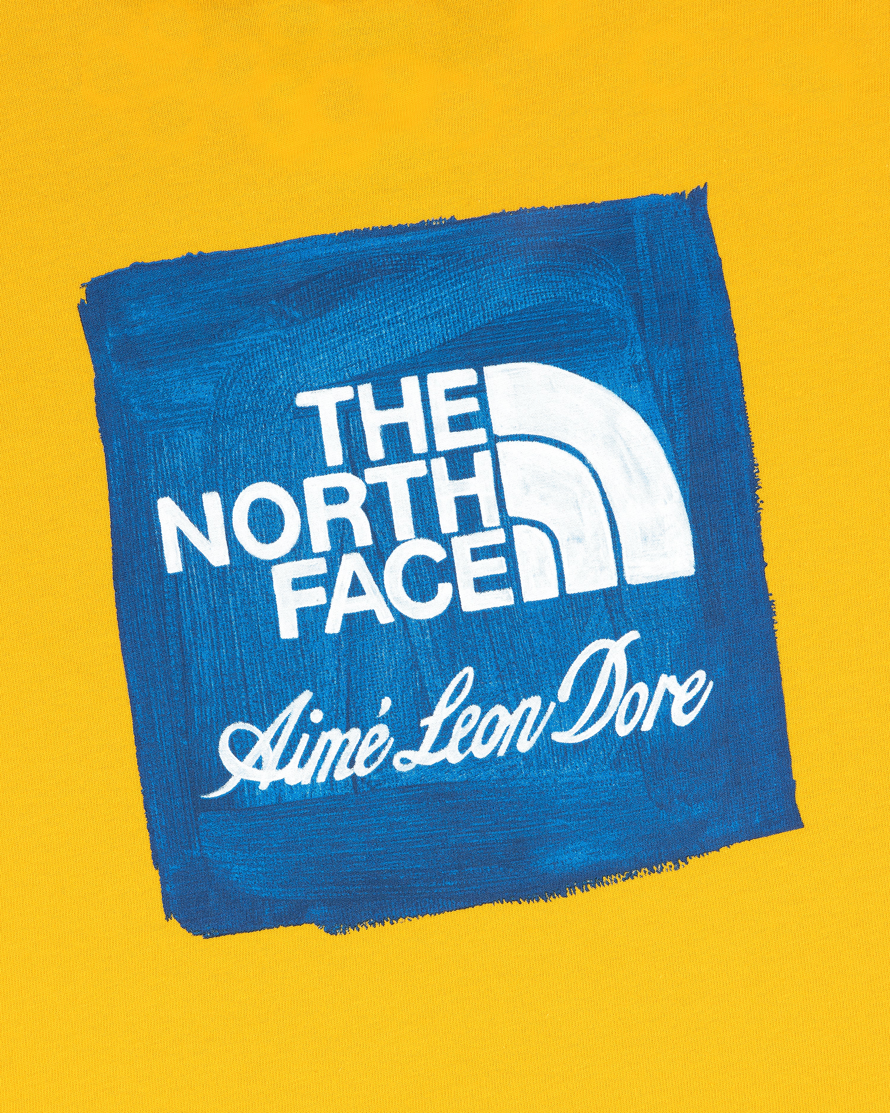 ALD / The North Face Logo Tee – Aimé Leon Dore