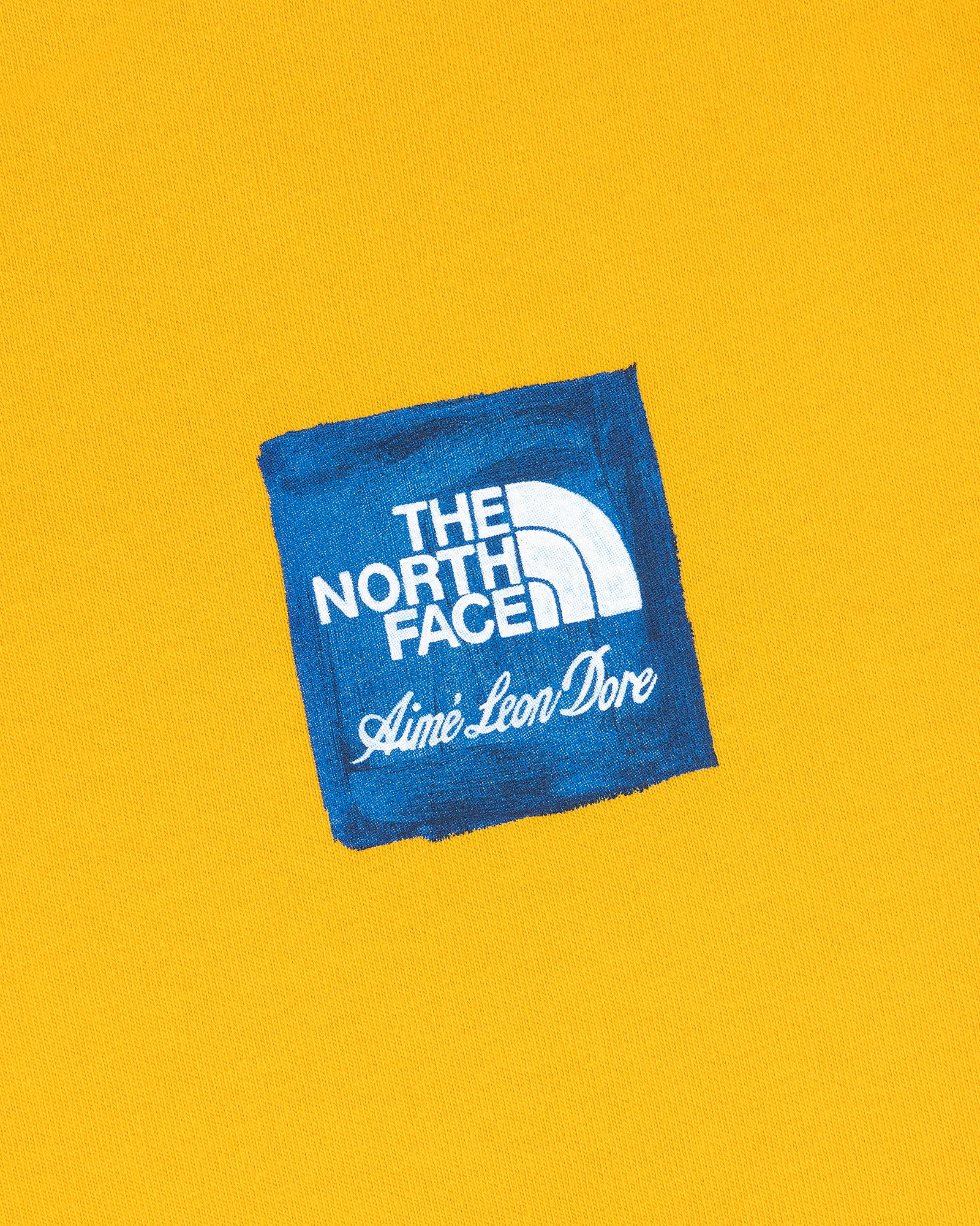 ALD / The North Face Logo Tee