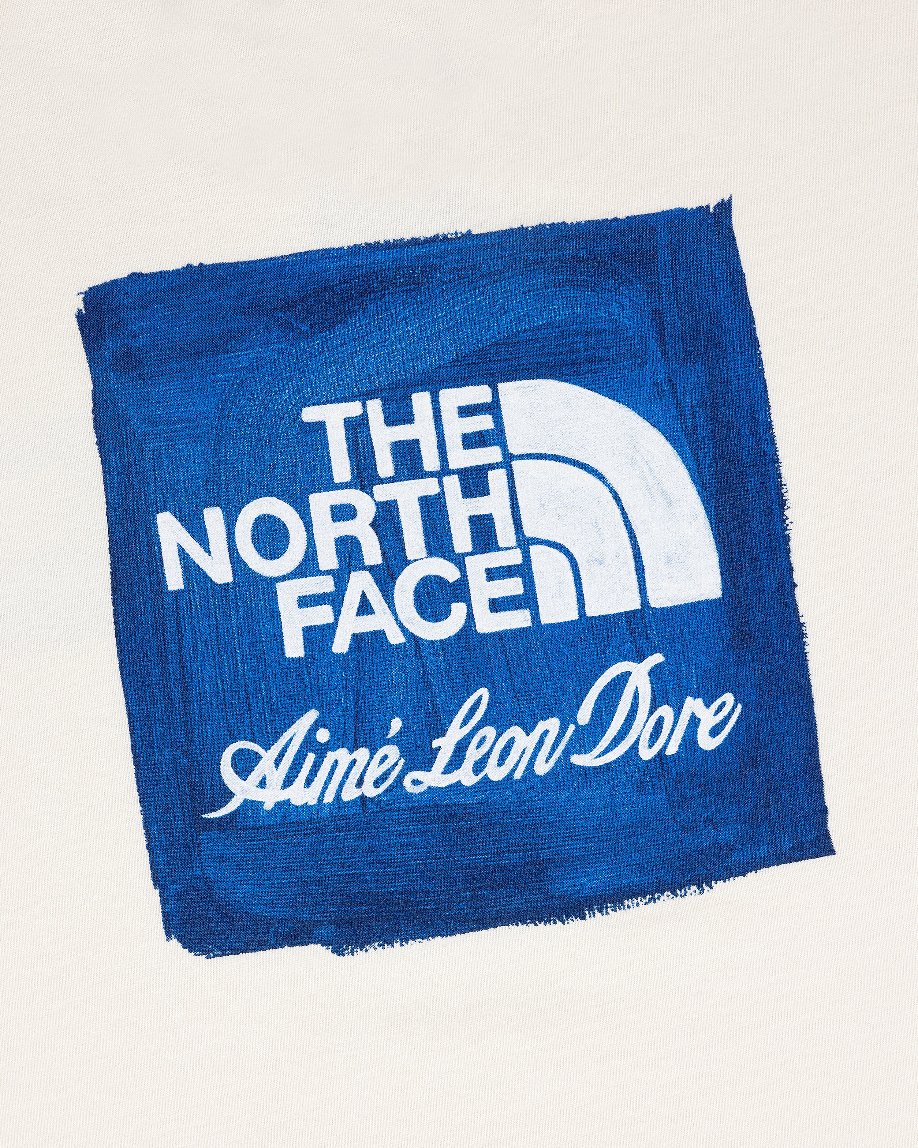 THE NORTH FACE × Aimé Leon Dore Tシャツ AimeLeonDore68c8276723e42568c8