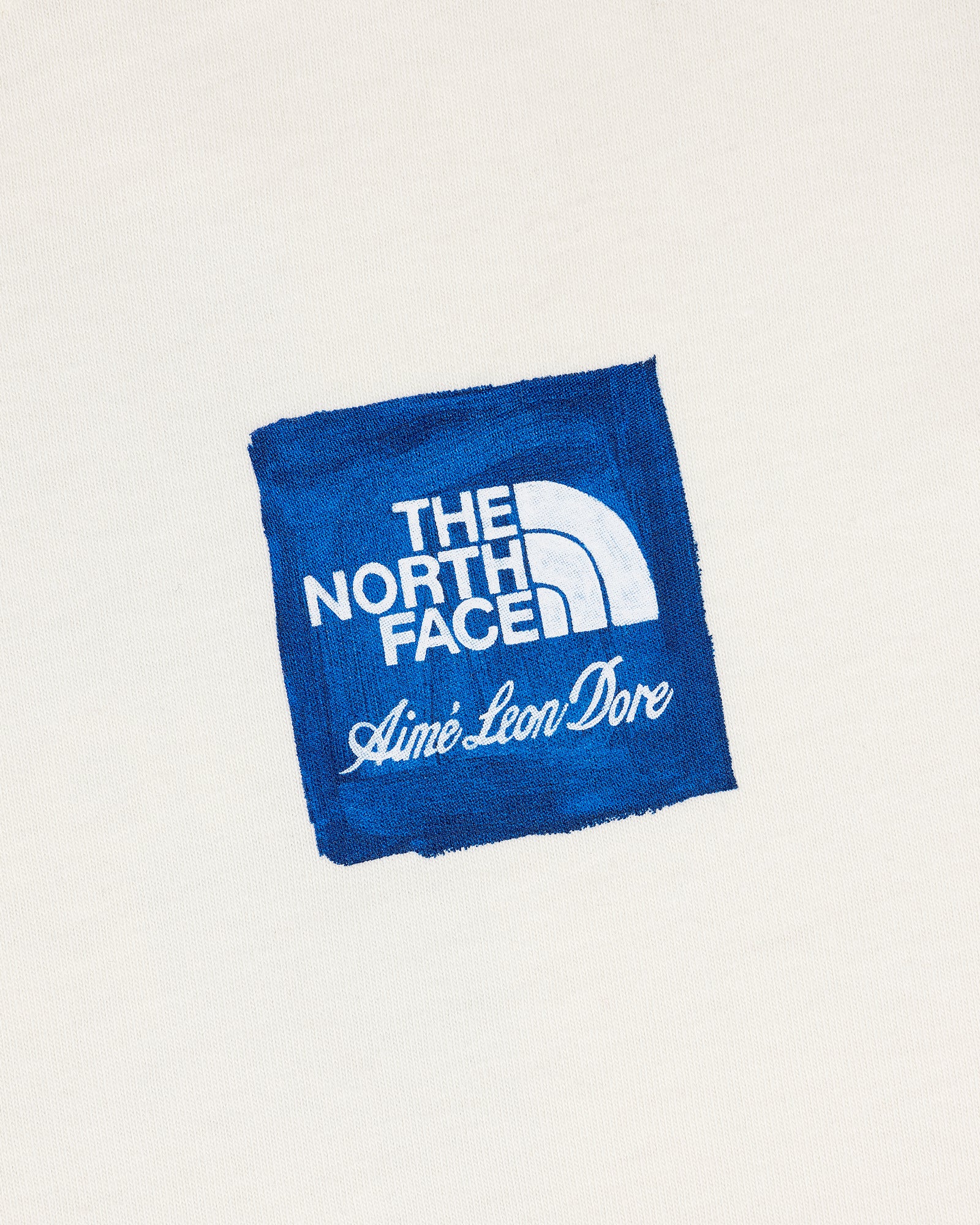 THE NORTH FACE × Aimé Leon Dore Tシャツ AimeLeonDore68c8276723e42568c8
