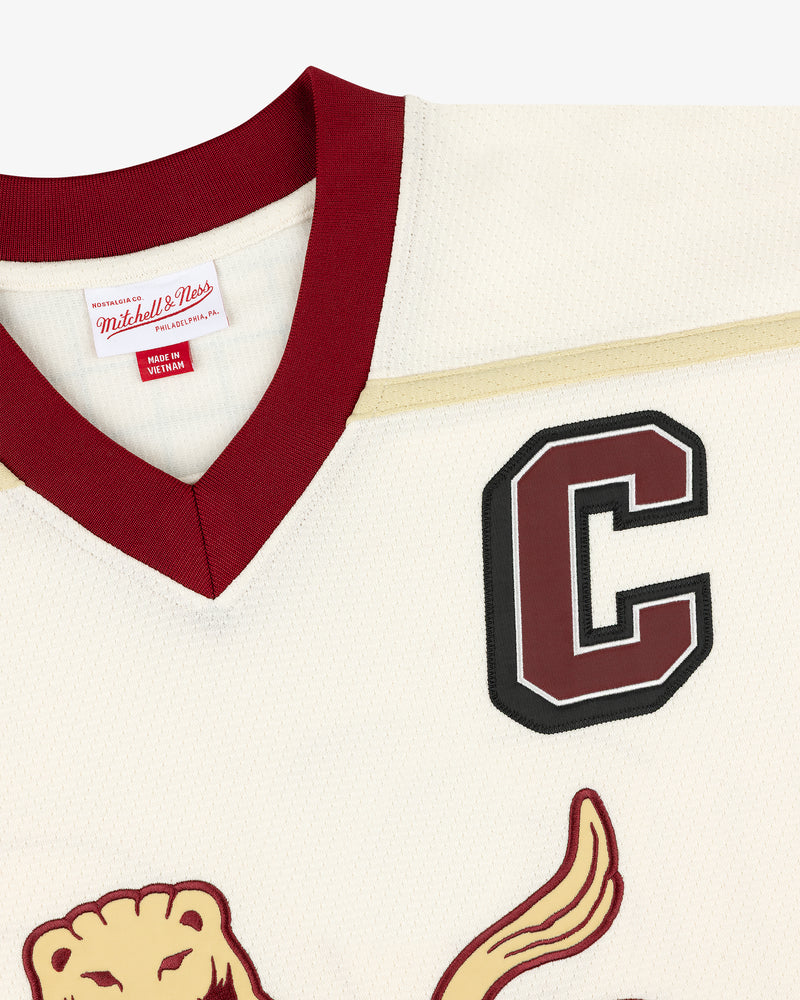 ALD / Mitchell & Ness Artisan Hockey Jersey