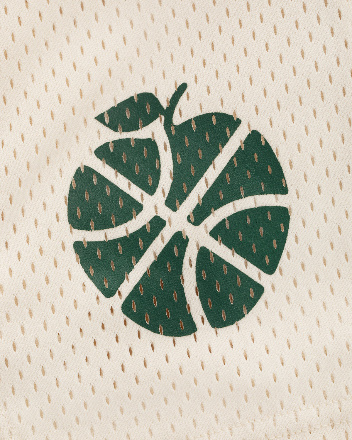 ALD / New Balance SONNY NY Gym Short in beige mesh with green monstera leaf basketball print.