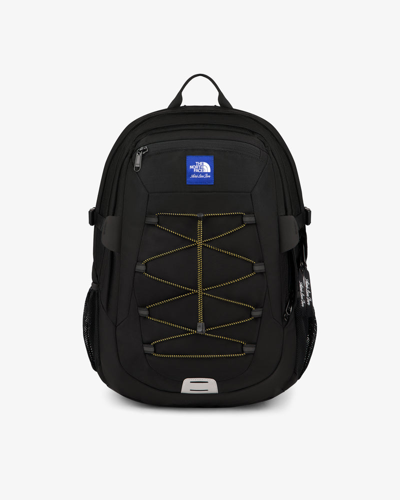 THE NORTH FACE × Aimé Leon Dore 手袋 Lサイズ ALD / The North Face Etip™ Gloves – Aimé Leon Dore