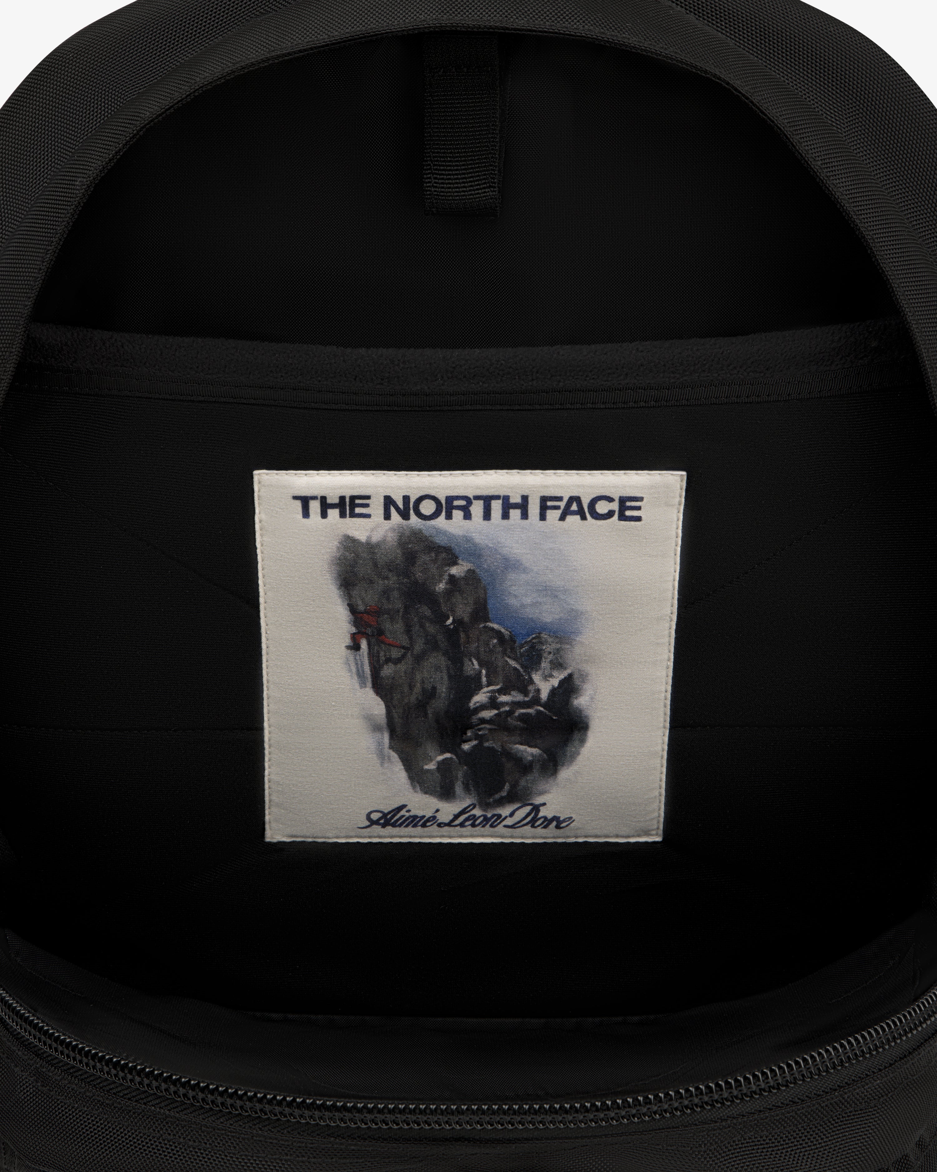バッグ TNF x Aime Leon Dore Borealis Backpack The North Face and Aimé Leon Dore unveil new collaboration