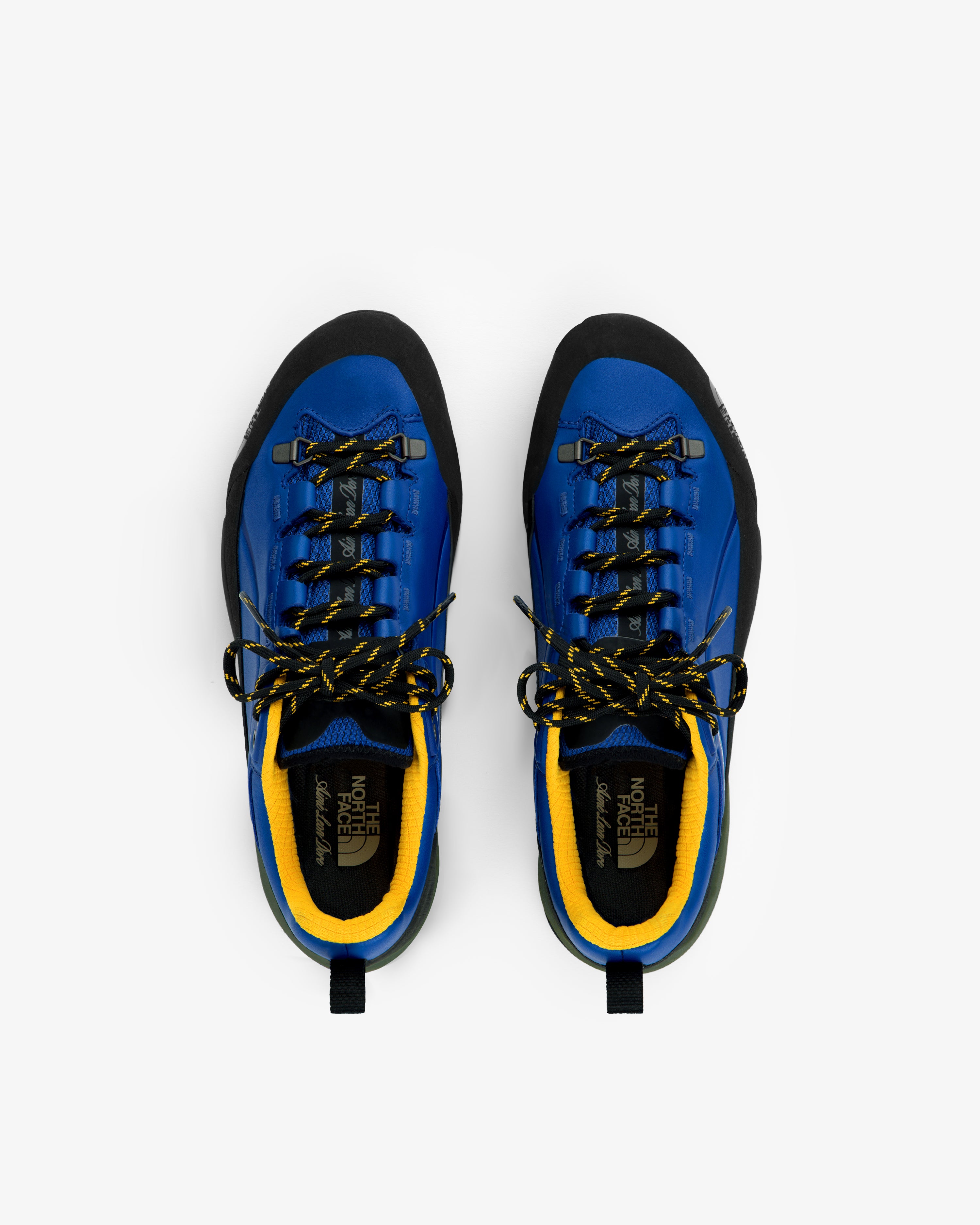 ALD / The North Face Verto Alpine GORE-TEX Hiking Shoes