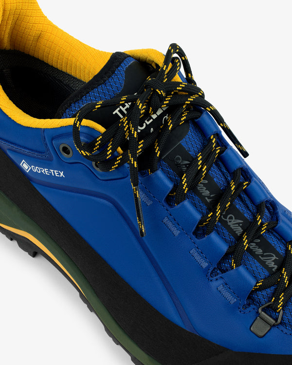 ALD / The North Face Verto Alpine GORE-TEX Hiking Shoes