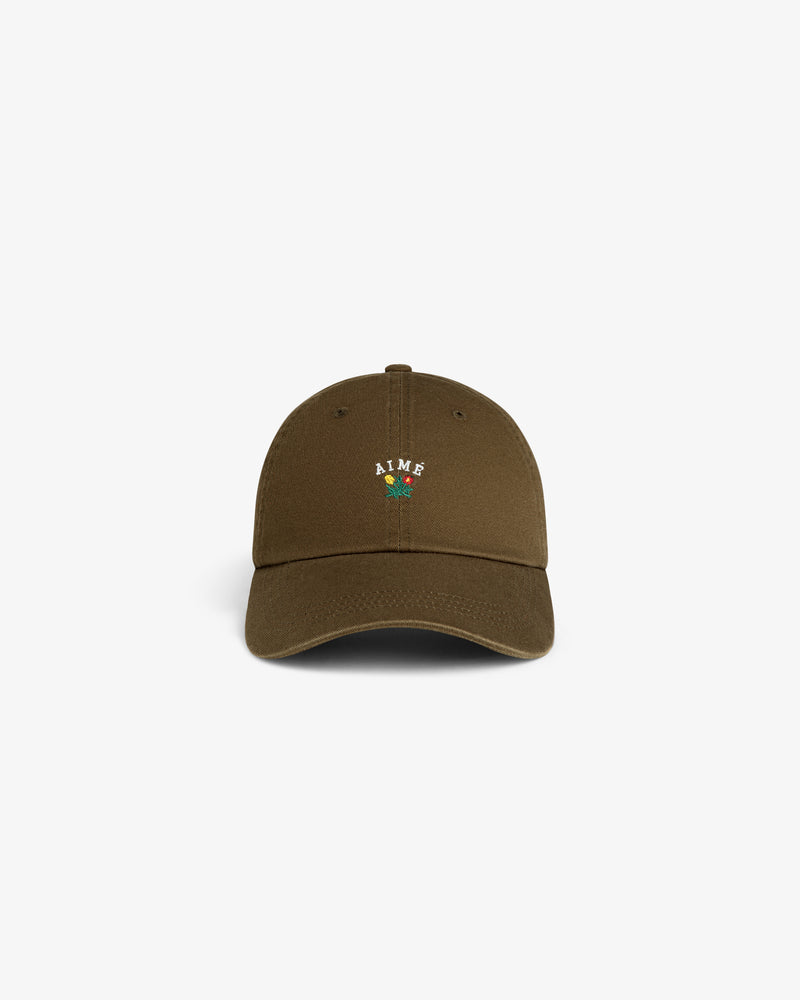 Brown Crest Logo Hat with AIME and a small green/red graphic embroidered on front, displayed on white background.