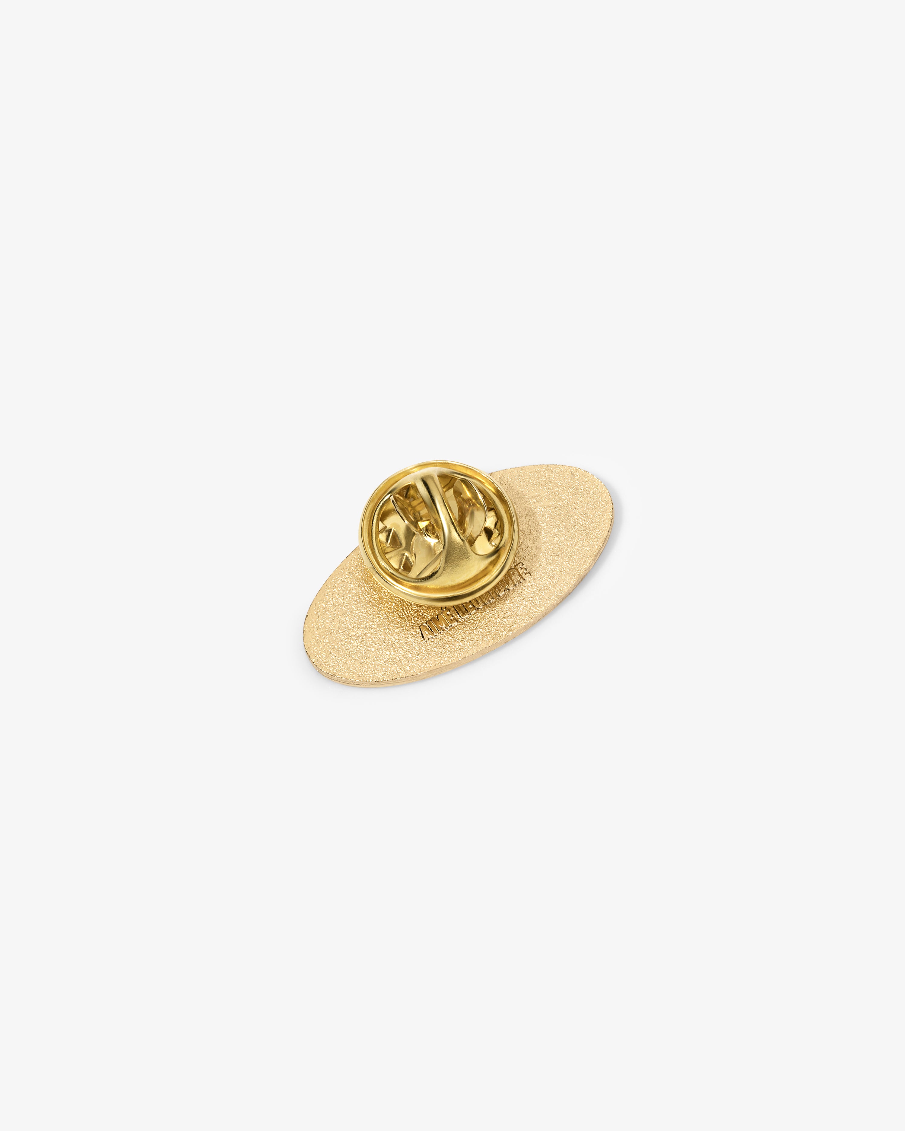 Graphic Pin featuring a gold oval backing with two butterfly clasps, displayed on a white background.