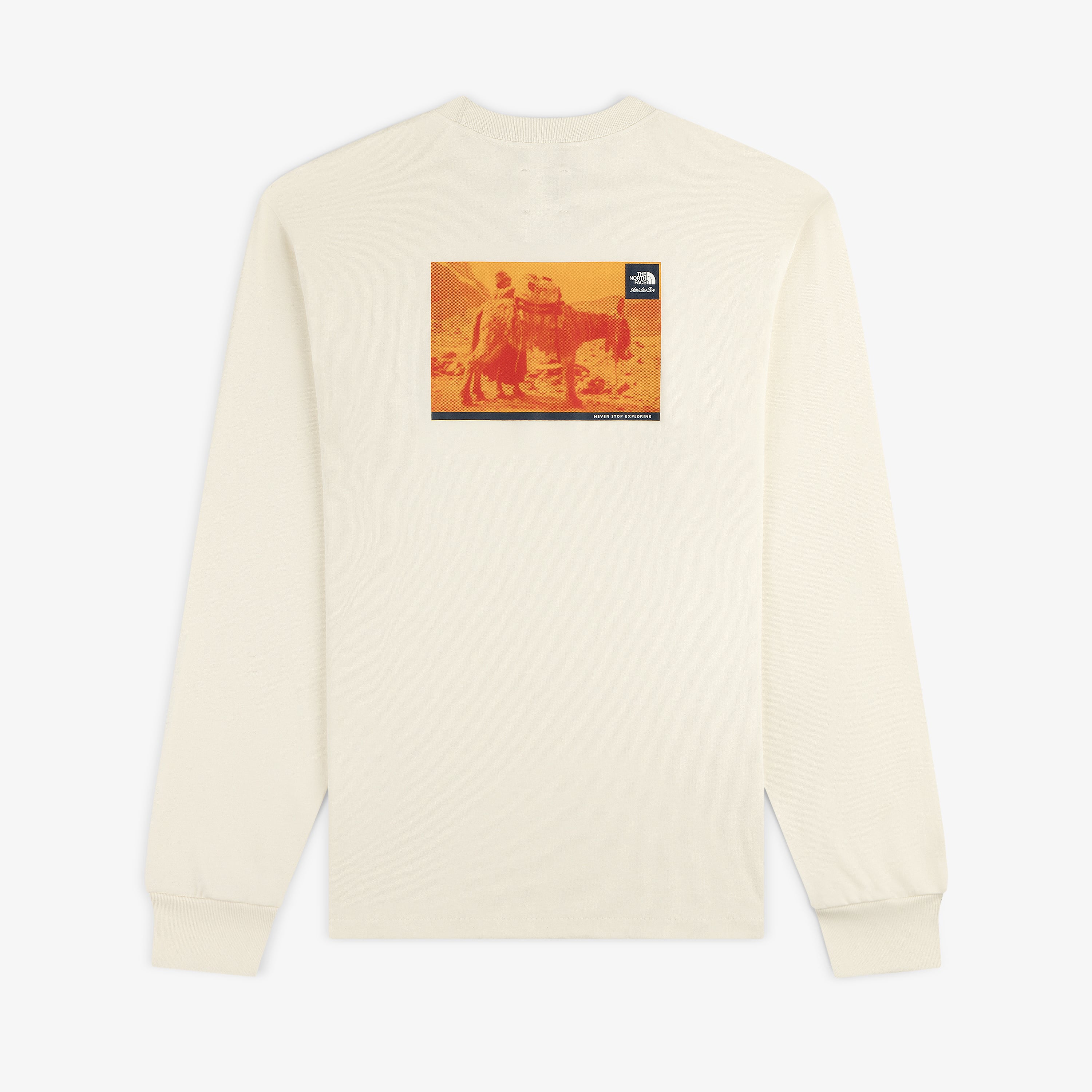 ALD / The North Face Long-Sleeve Explorer Tee – Aimé Leon Dore