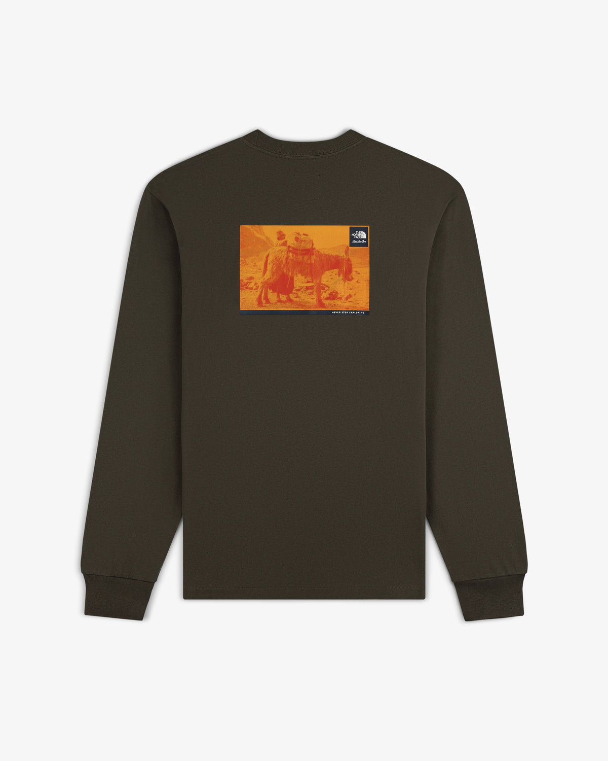 ALD / The North Face Long-Sleeve Explorer Tee with orange rectangle graphic and logo patch on upper back.