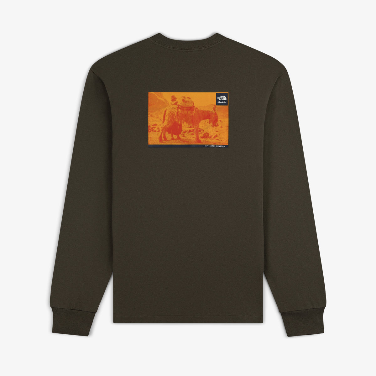 ALD / The North Face Long-Sleeve Explorer Tee – Aimé Leon Dore