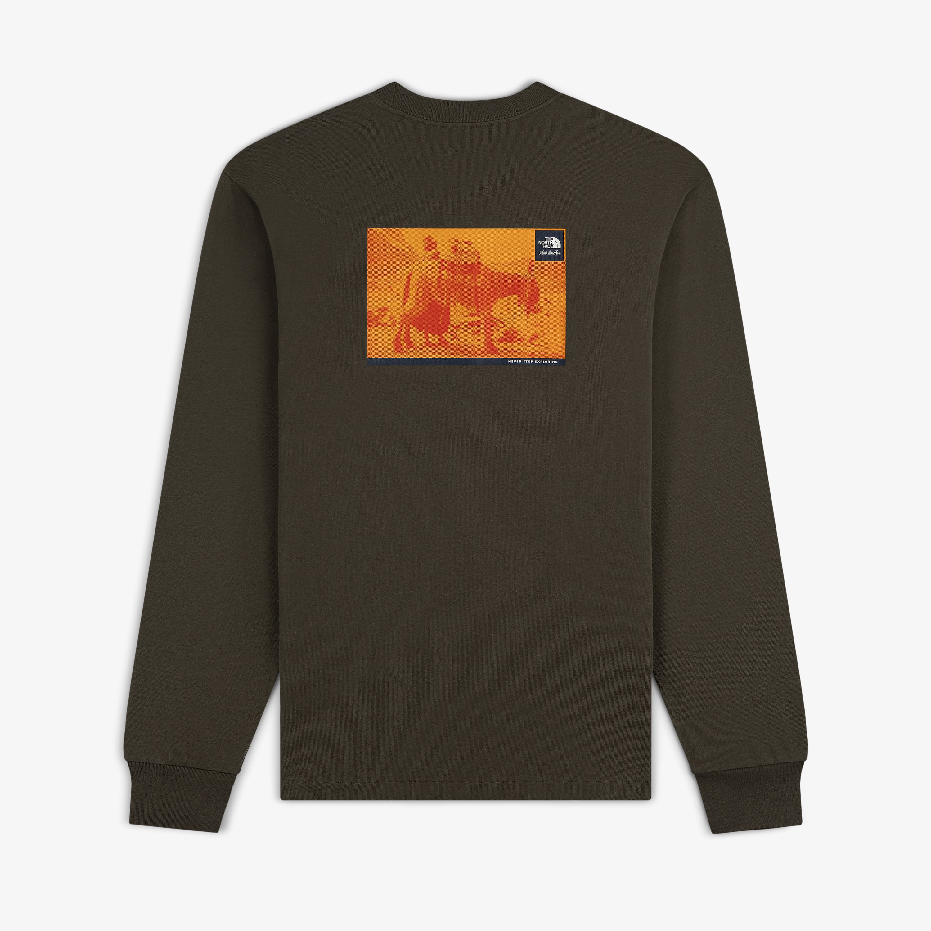 ALD / The North Face Long-Sleeve Explorer Tee – Aimé Leon Dore