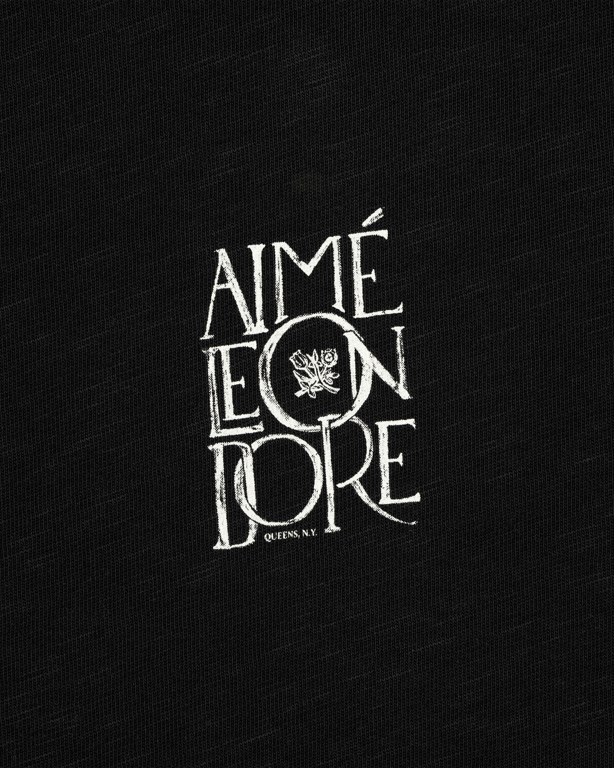 Stacked Logo Slub Tee: White AIMÉ LEON DORE crest logo on black, with QUEENS, N.Y. text below.