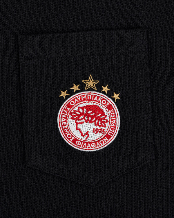 Embroidered crest with laurel wreath and text on the pocket of an ALD / Olympiacos F.C. Heritage Ringer Polo.