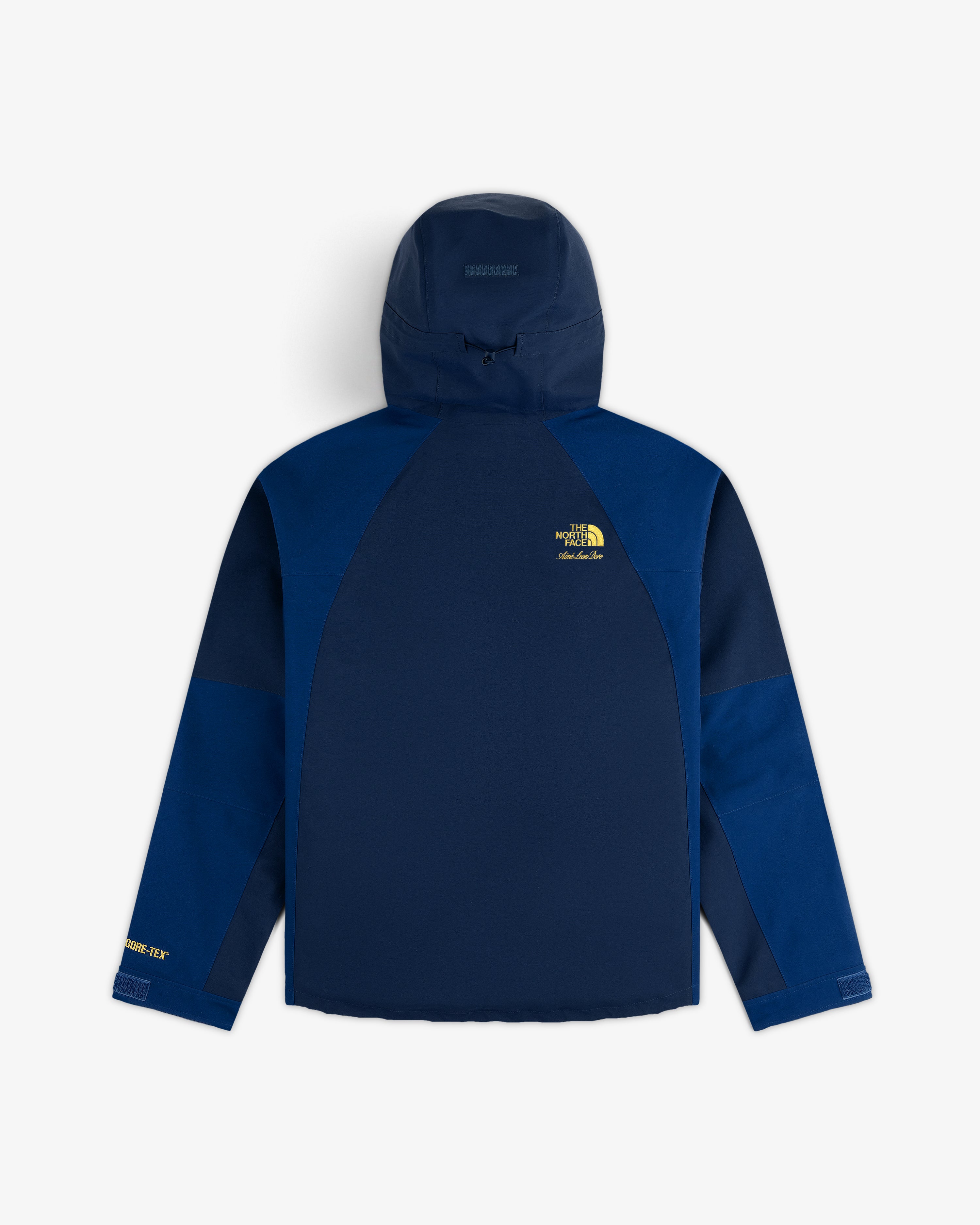 ALD / The North Face GORE-TEX 2000 Mountain Jacket, blue two-tone with hood, chest/sleeve logo on white background.