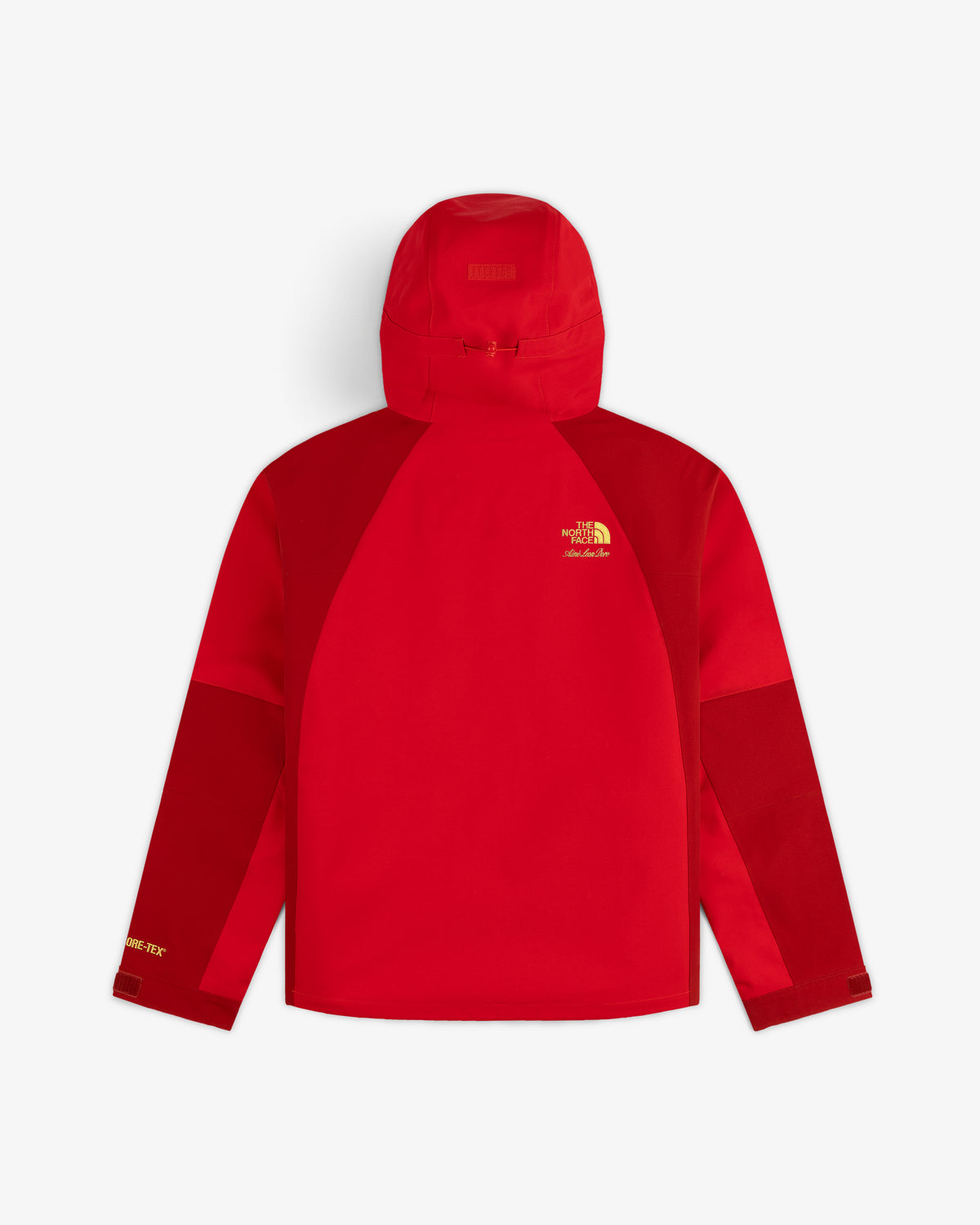 ALD/The North Face GORE-TEX 2000 Mountain Jacket in red shown from the back; yellow logo on white background.