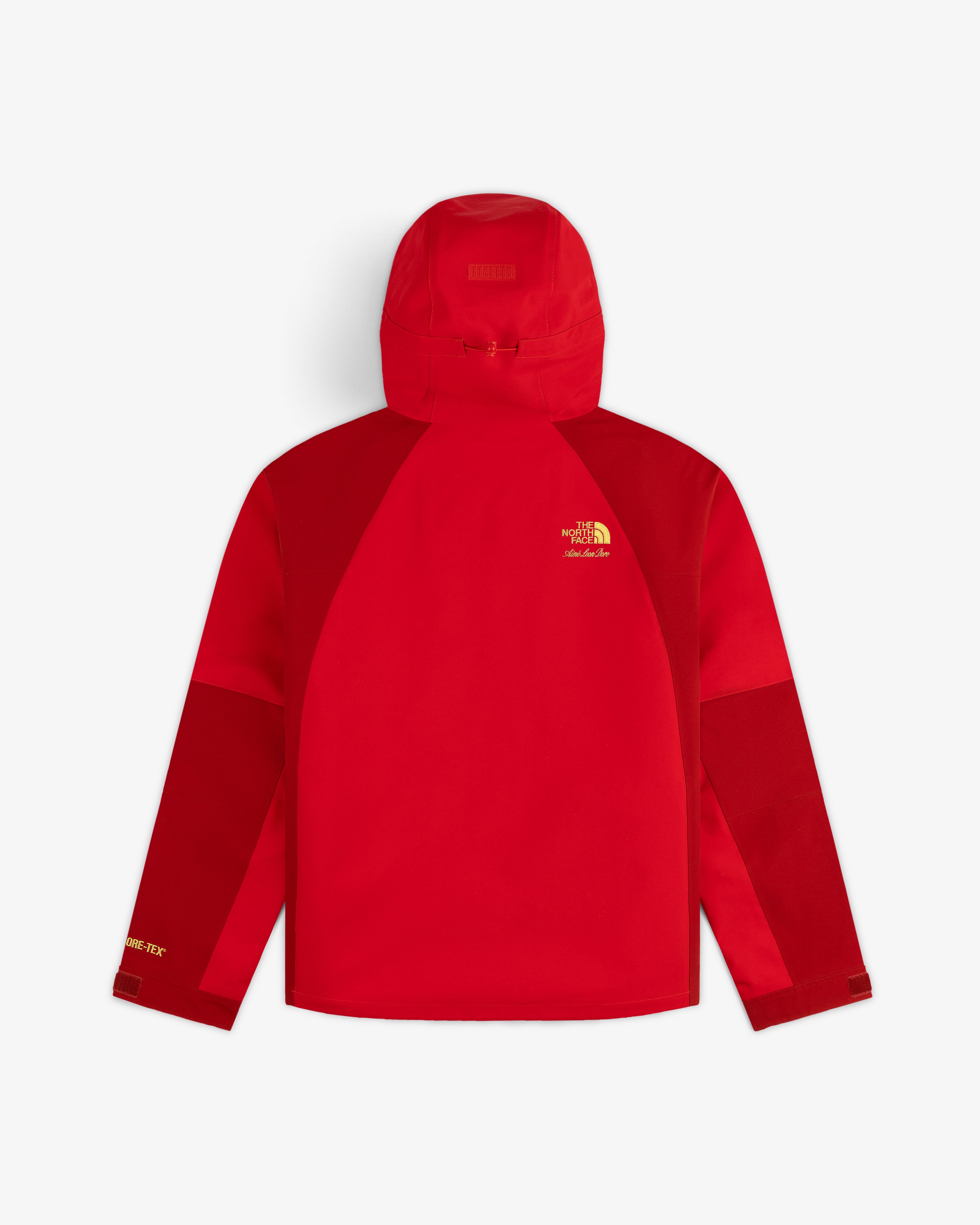 ALD/The North Face GORE-TEX 2000 Mountain Jacket in red shown from the back; yellow logo on white background.
