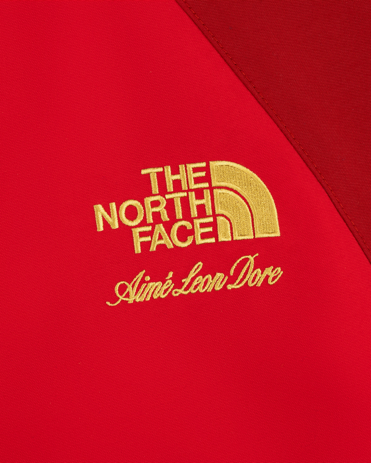 Red ALD / The North Face GORE-TEX 2000 Mountain Jacket with yellow embroidered logo.