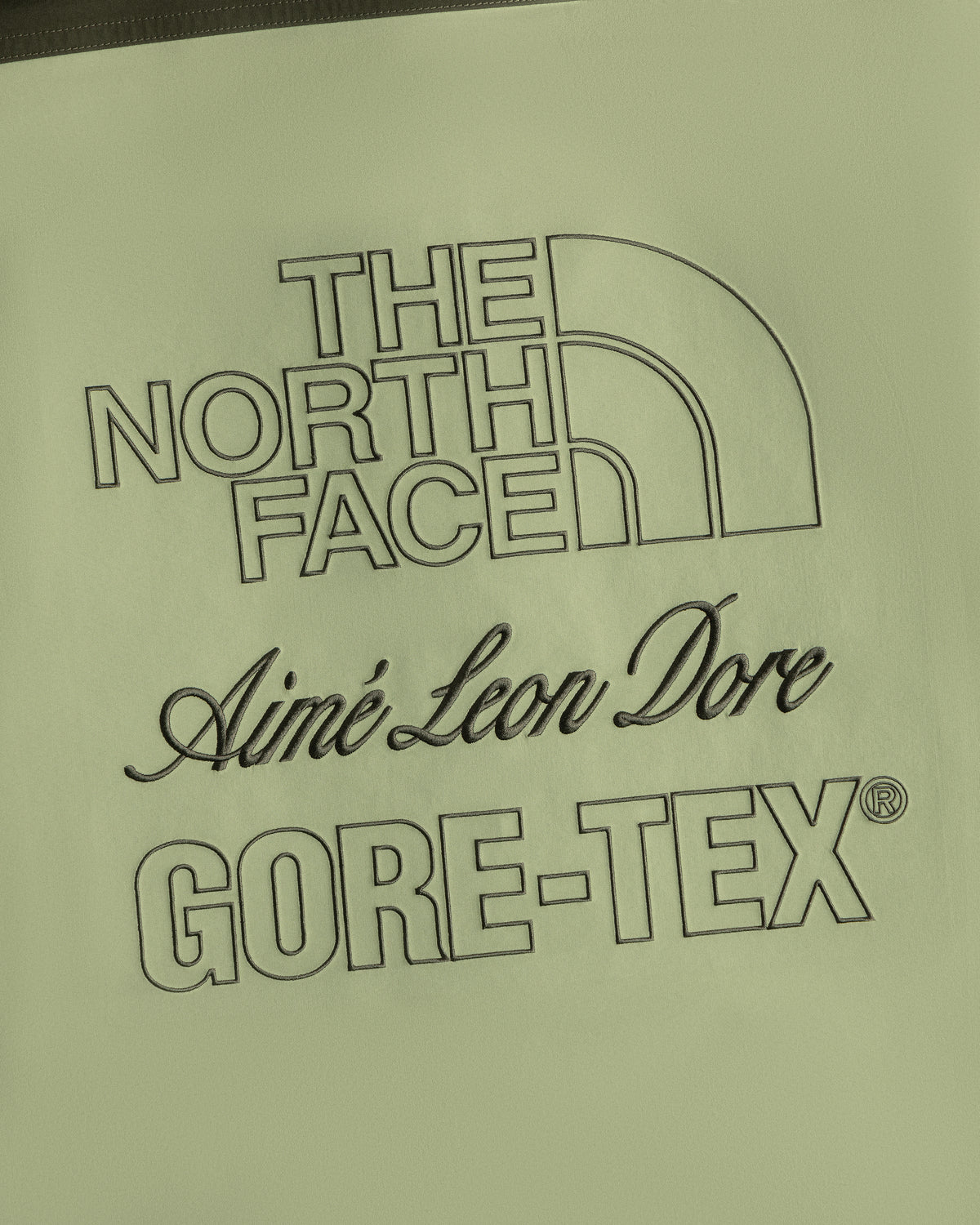 ALD, The North Face, and GORE-TEX logos in black on light green ALD / The North Face GORE-TEX Trench Coat fabric.