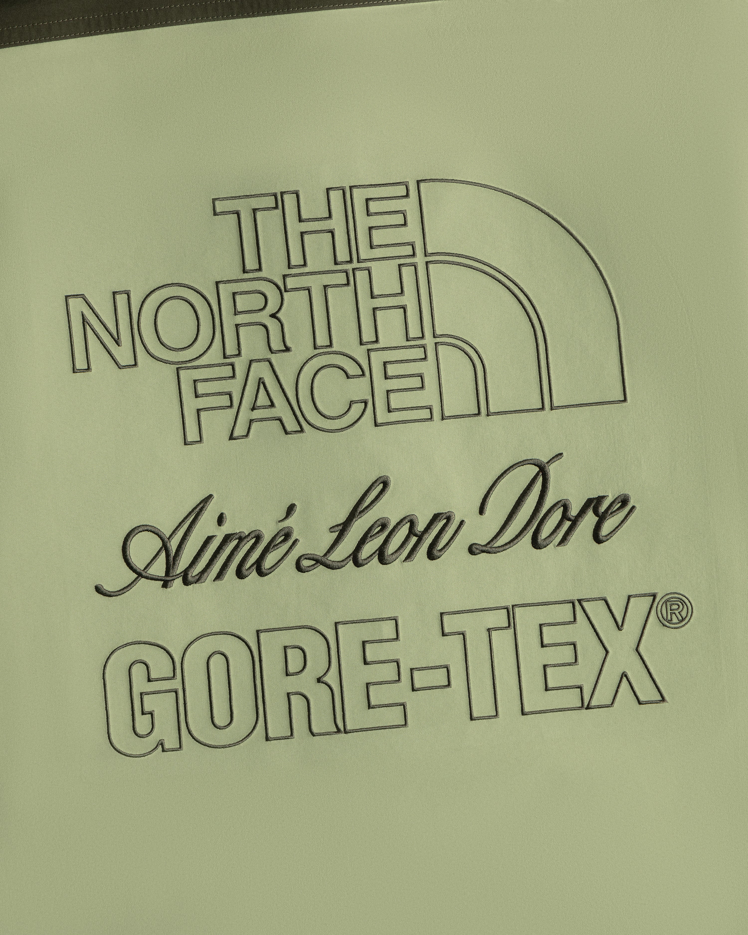 ALD, The North Face, and GORE-TEX logos in black on light green ALD / The North Face GORE-TEX Trench Coat fabric.