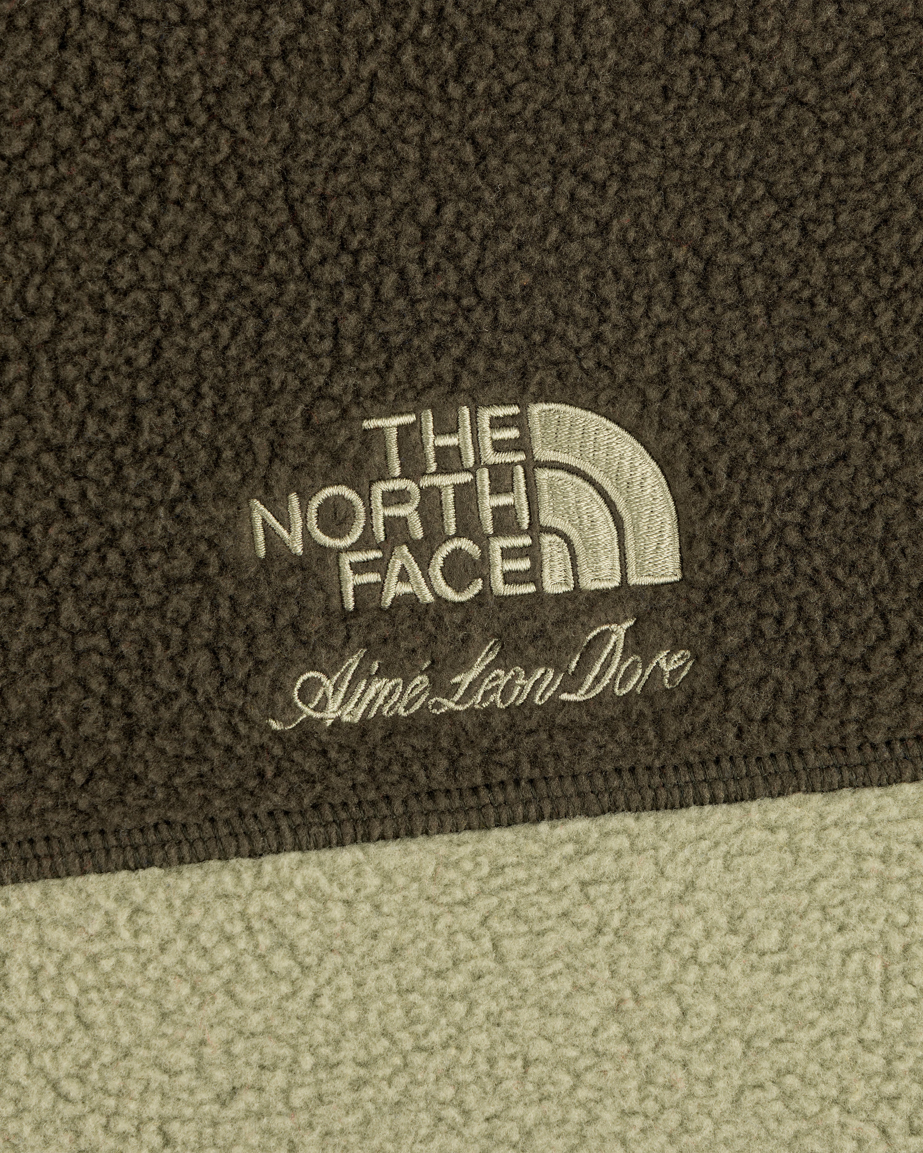 Close-up of ALD / The North Face ’95 Denali Half-Zip Fleece Pullover logos on two-tone green textured fleece.