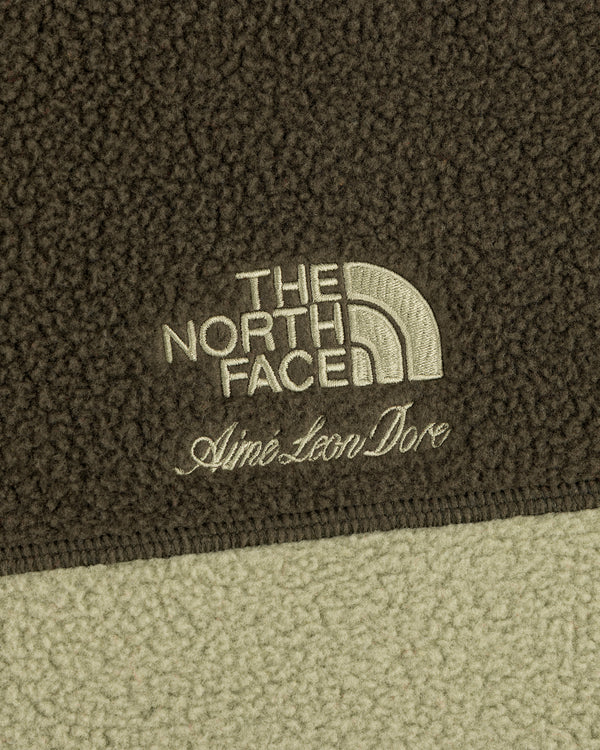 Close-up of ALD / The North Face ’95 Denali Half-Zip Fleece Pullover logos on two-tone green textured fleece.