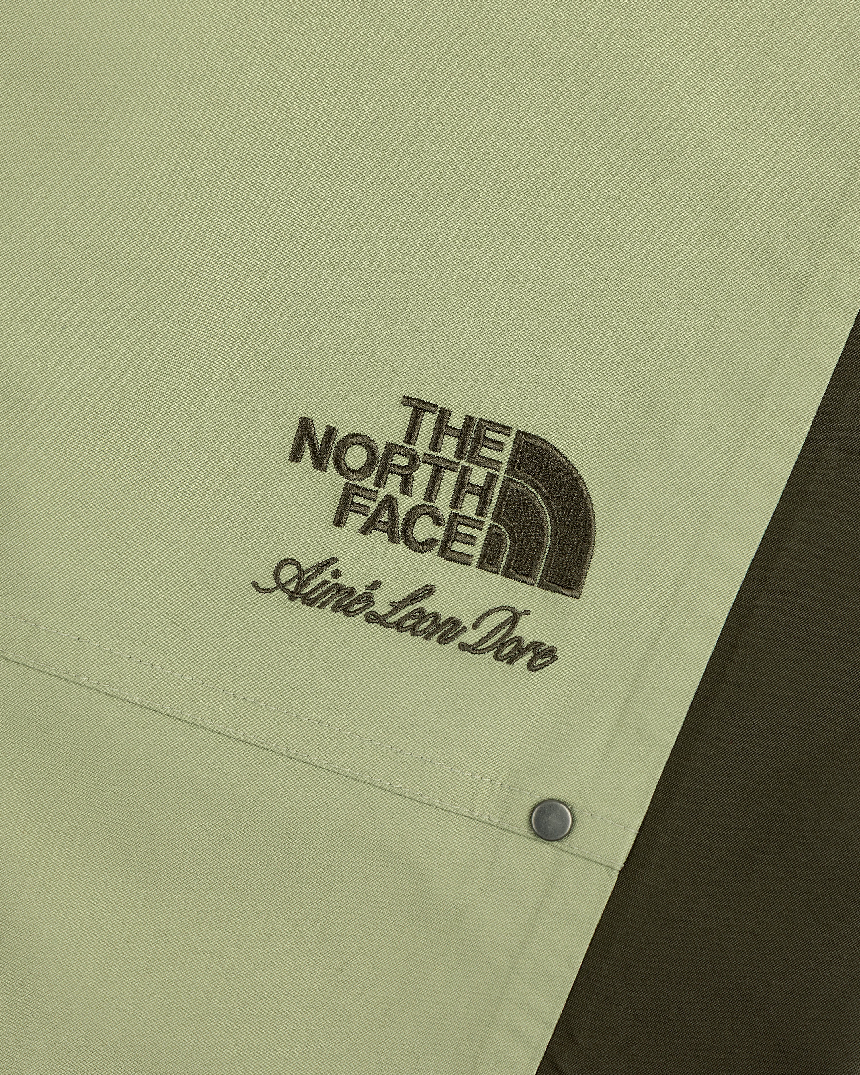 Close-up of ALD / The North Face GORE-TEX Pant with logos embroidered in brown on light green fabric.
