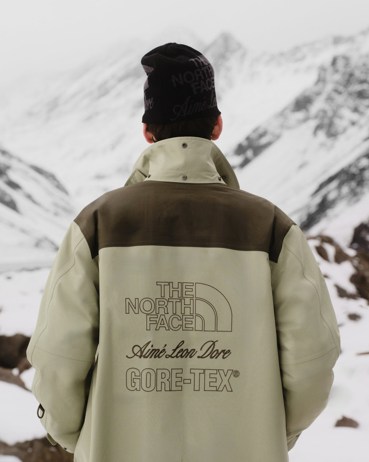 Person in ALD / The North Face GORE-TEX Trench Coat faces snowy mountains, jacket logos visible.