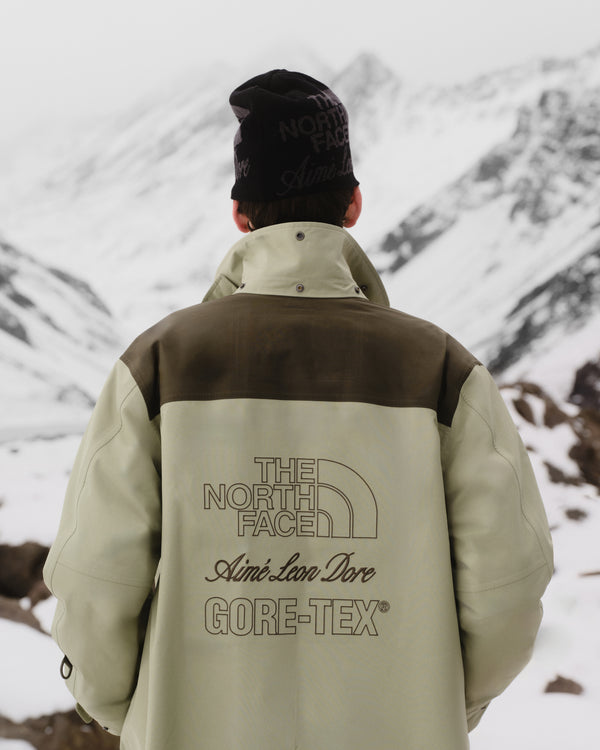Person in ALD / The North Face GORE-TEX Trench Coat faces snowy mountains, jacket logos visible.