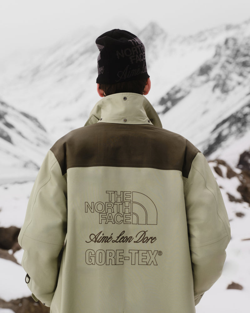 Person in ALD / The North Face GORE-TEX Trench Coat faces snowy mountains, jacket logos visible.