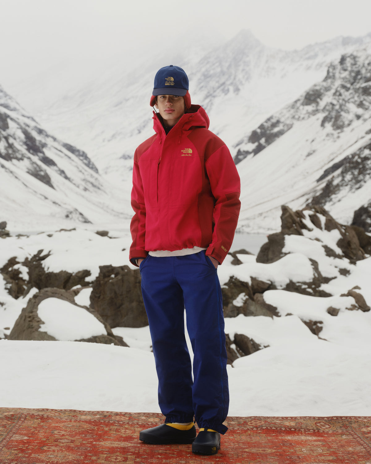 Person in an ALD/The North Face GORE-TEX 2000 Mountain Jacket stands on a rug in a snowy mountain landscape.
