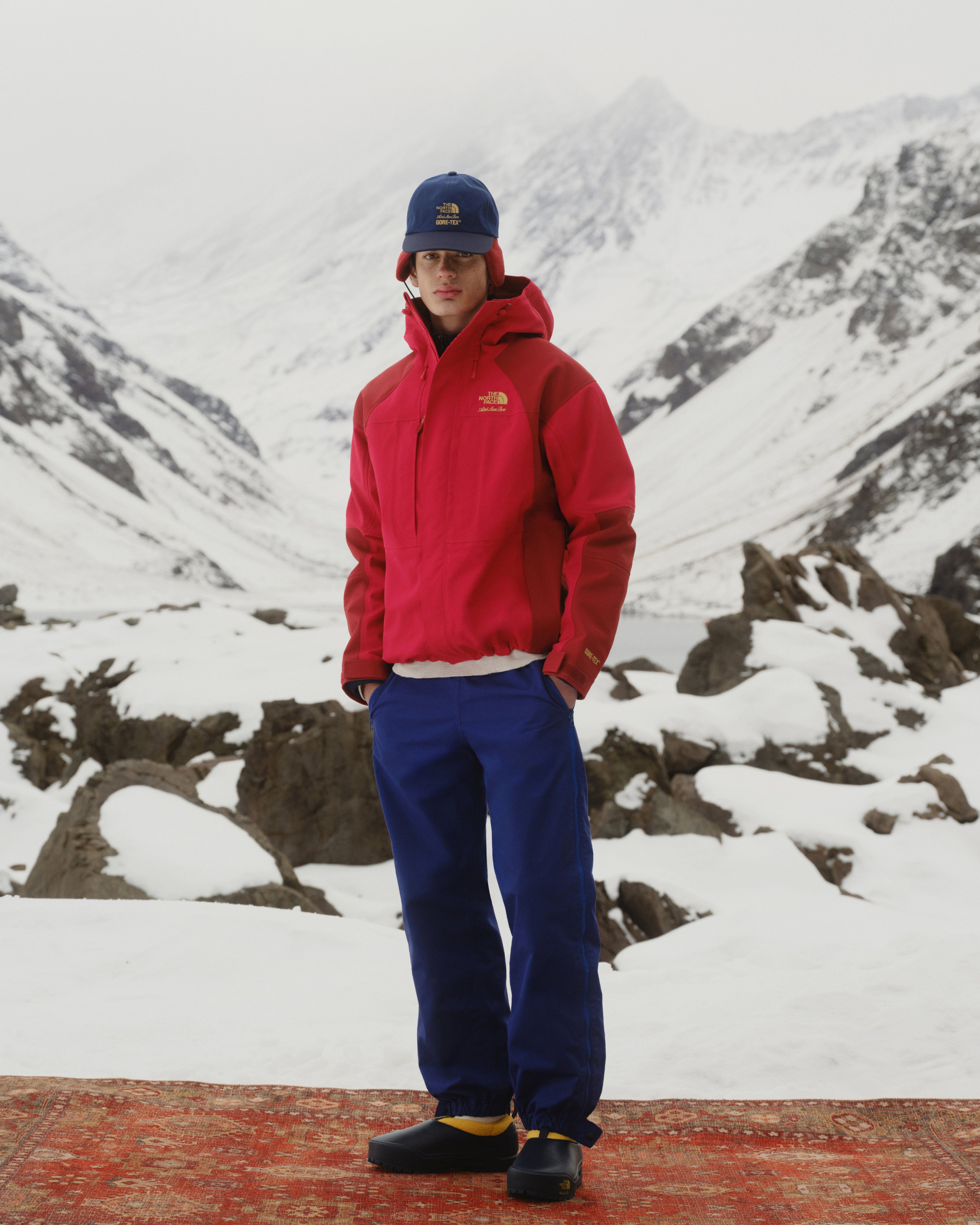 Person in an ALD/The North Face GORE-TEX 2000 Mountain Jacket stands on a rug in a snowy mountain landscape.