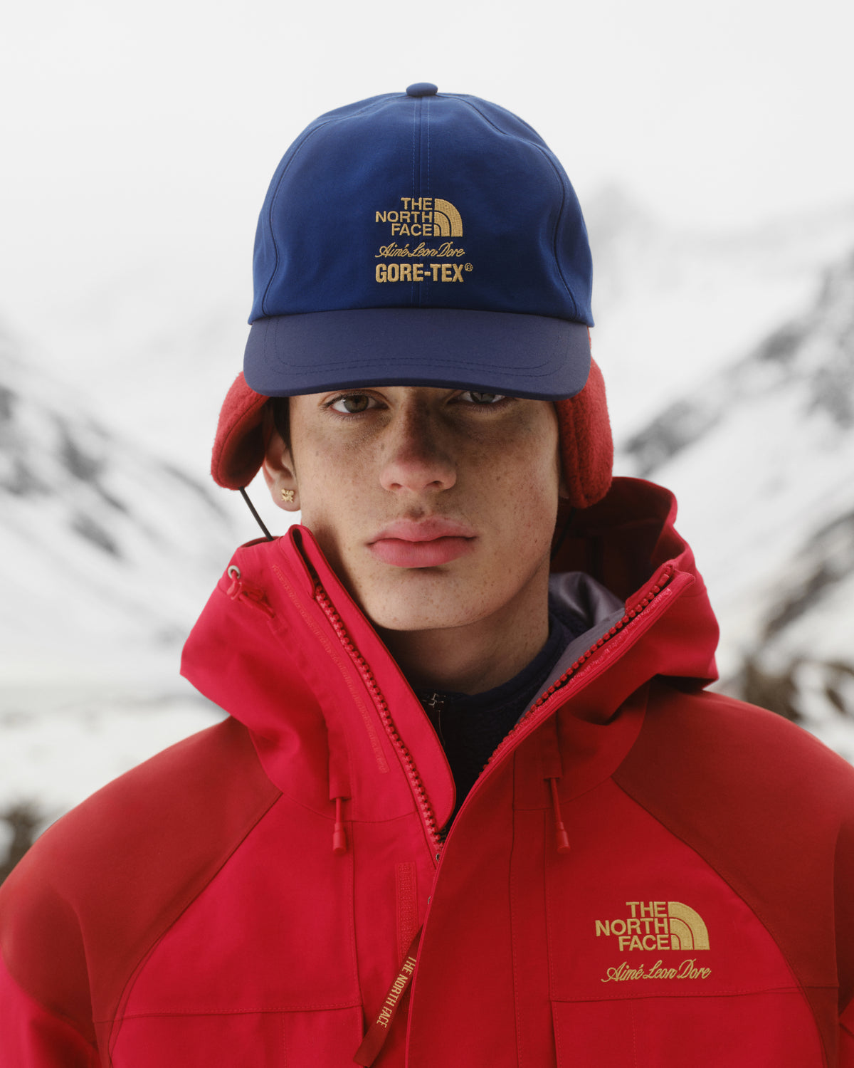 Individual wearing the ALD/The North Face GORE-TEX 2000 Mountain Jacket poses with snowy mountains in the background.