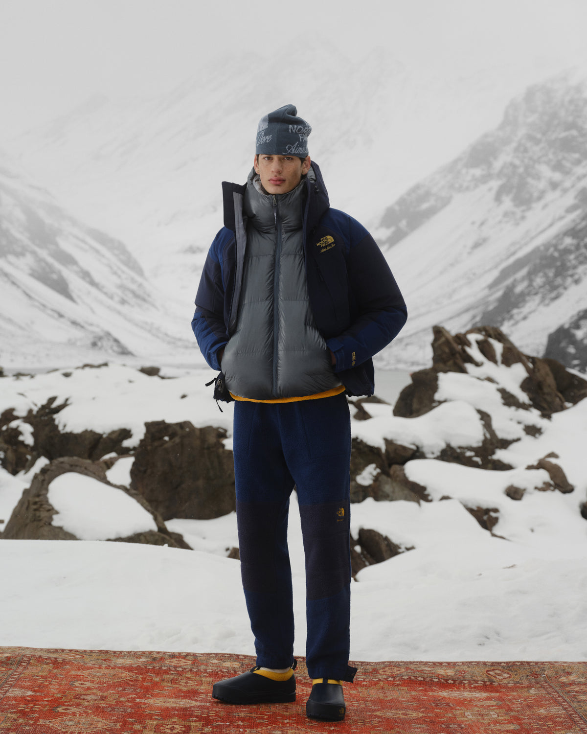 Person in ALD/The North Face GORE-TEX 2000 Mountain Jacket stands on a rug amid snowy peaks and rocks.