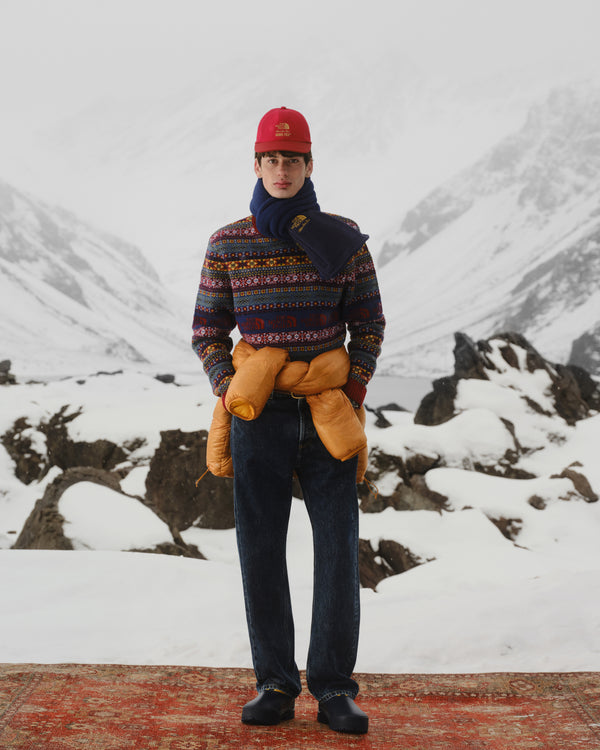 Wearing the ALD / The North Face GORE-TEX Hat and winter gear, a person stands on a rug in snowy mountains.