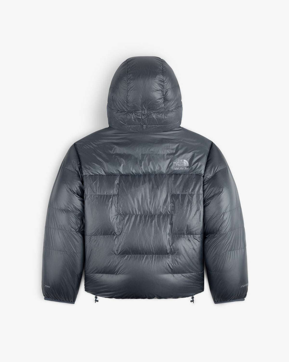 ALD/The North Face Reversible Pertex® Nuptse Jacket in dark gray with hood, back view on white background.