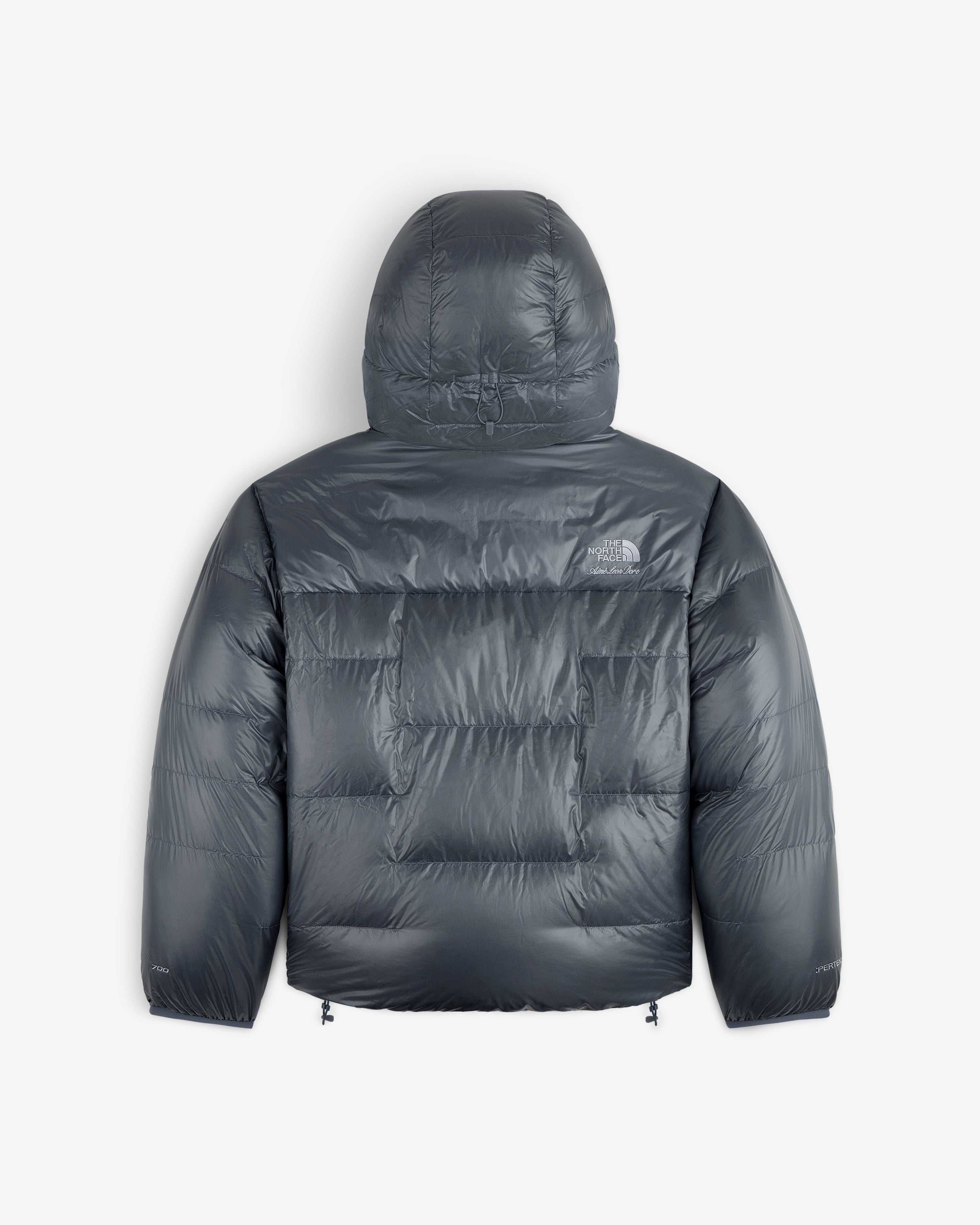ALD/The North Face Reversible Pertex® Nuptse Jacket in dark gray with hood, back view on white background.