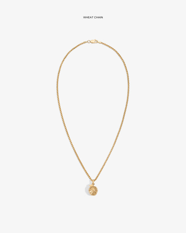 14Kt Sonny Apple Pendant on a gold wheat chain, shown against a white background.