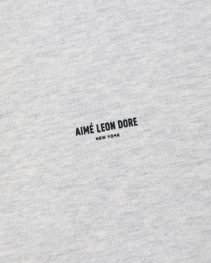 Gray Micro Logo Hoodie with small black "AIMÉ LEON DORE NEW YORK" text centered on the fabric.