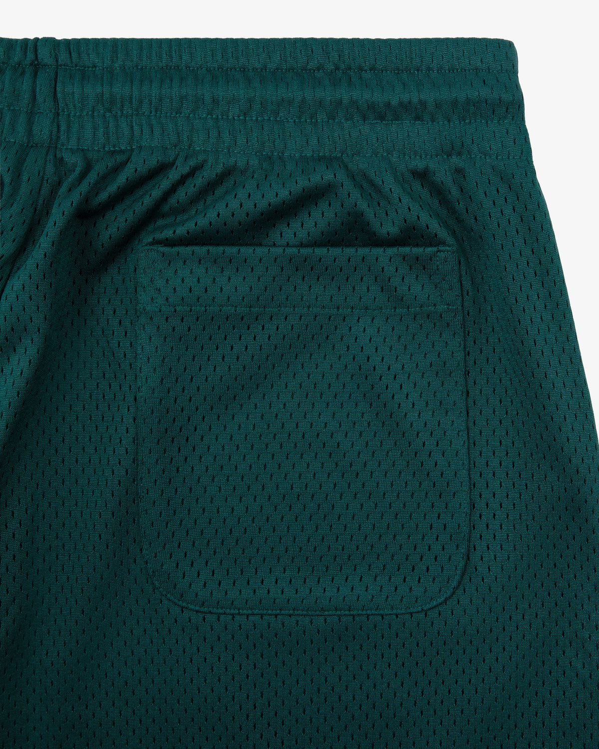 Close-up of Logo Gym Short in green with elastic waistband and single back pocket.
