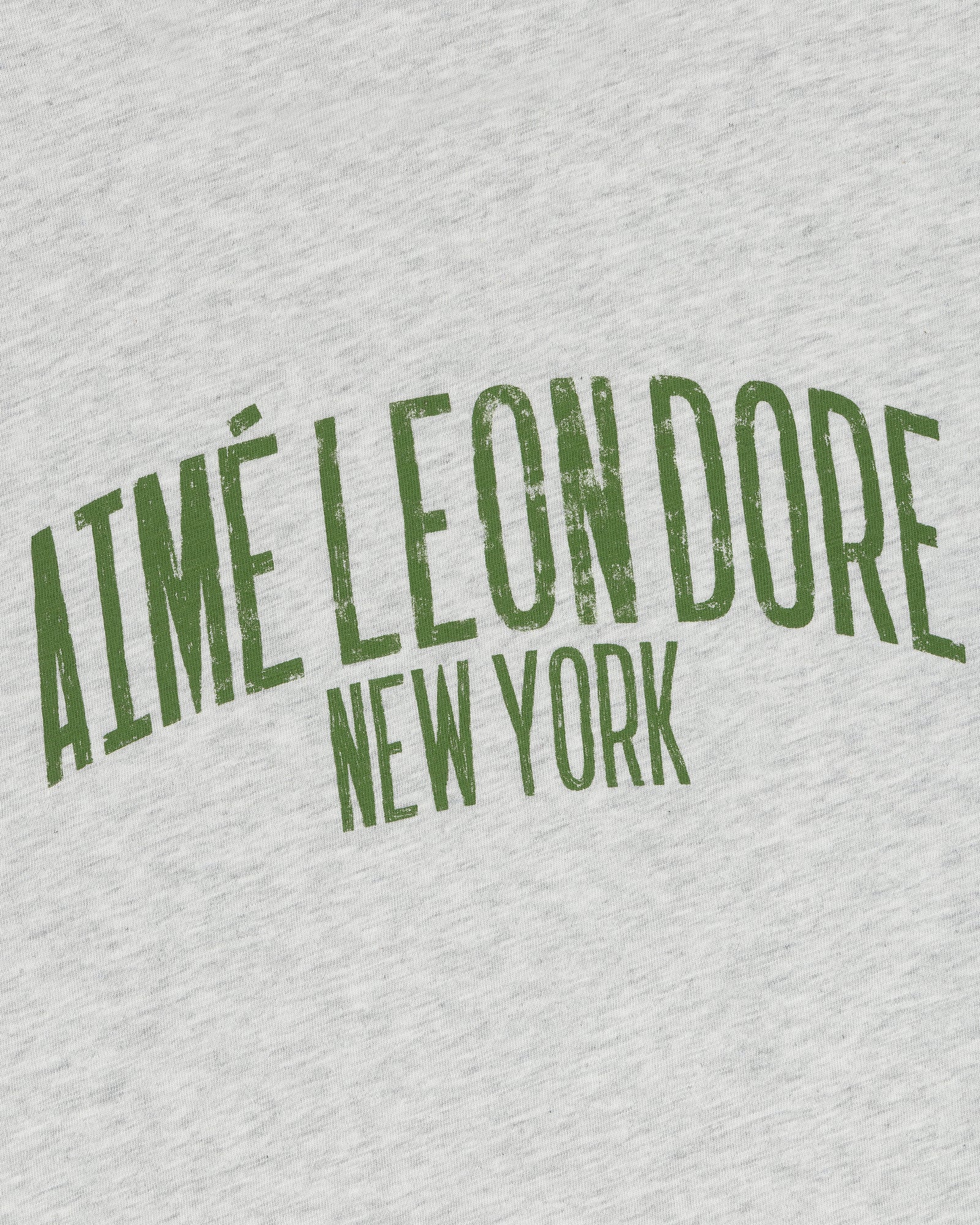 Green “AIMÉ LEON DORE NEW YORK” text curves on light grey Washed Ringer Tee in a distressed print.