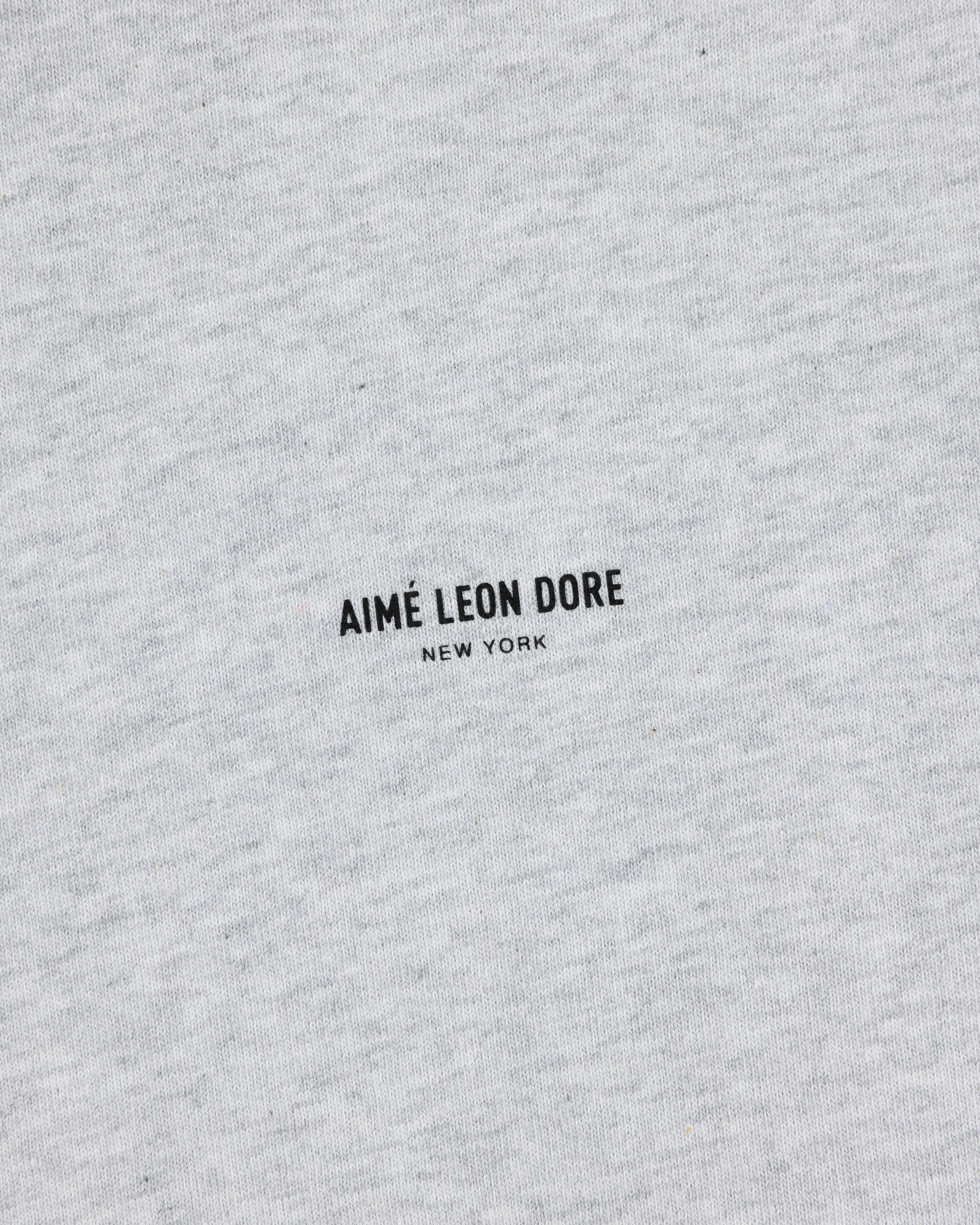 Close-up of the Long-Sleeve Micro Logo Tee in light gray with AIMÉ LEON DORE NEW YORK printed in small black letters.