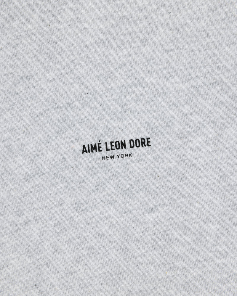 Close-up of the Long-Sleeve Micro Logo Tee in light gray with AIMÉ LEON DORE NEW YORK printed in small black letters.