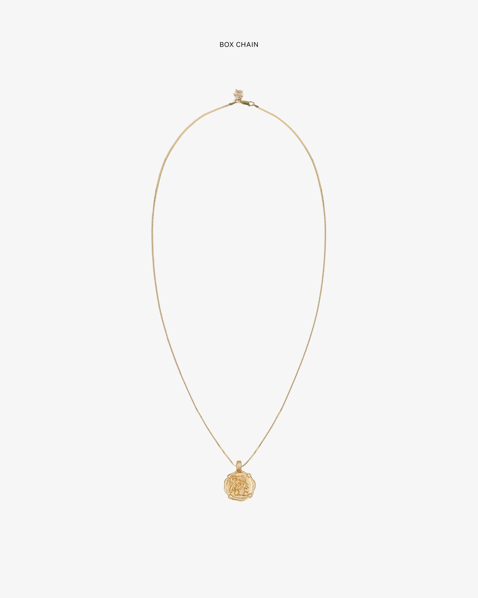 14Kt Gold Coin Pendant on a gold box chain shown against a plain white background.